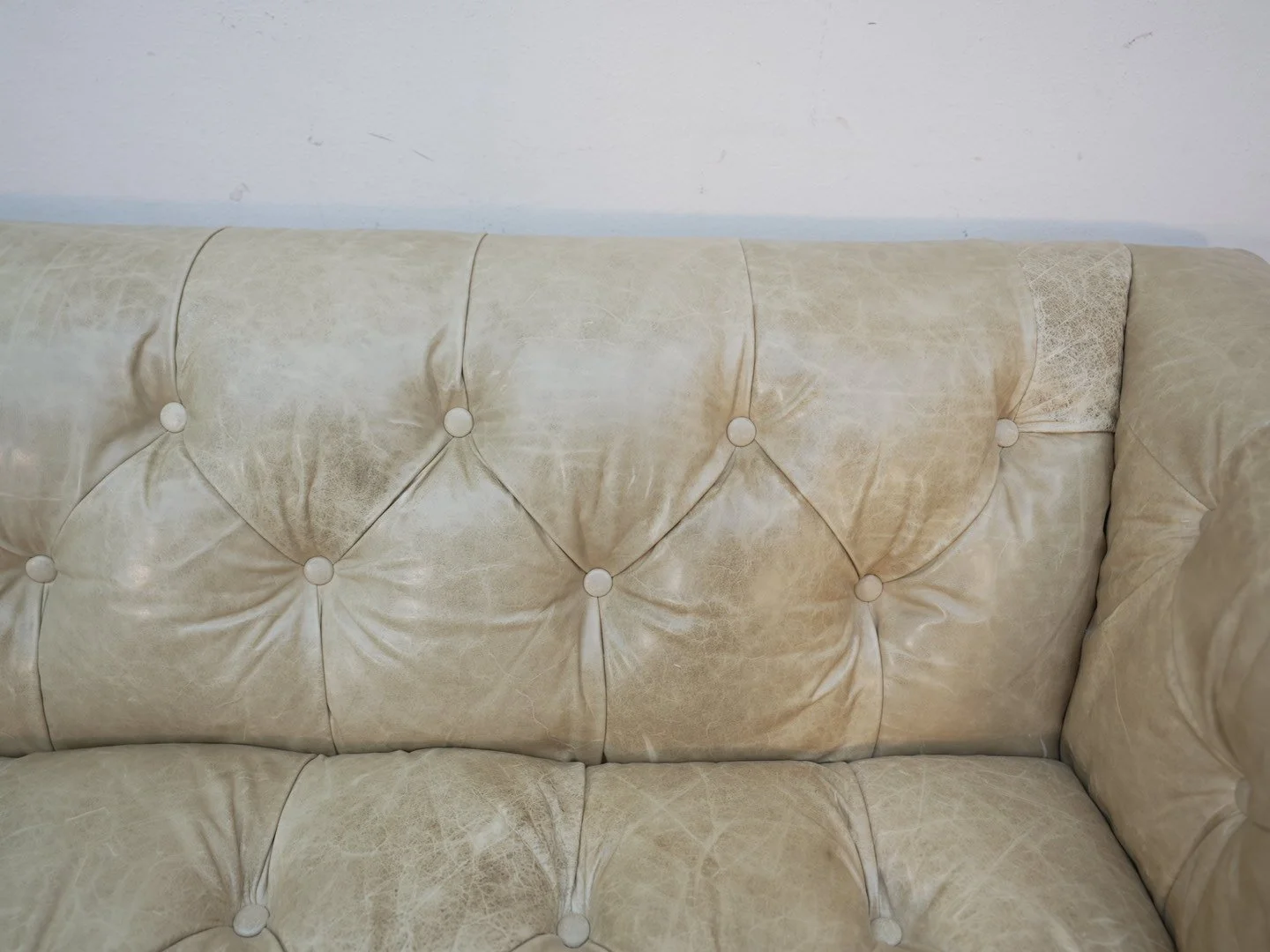 Photo Apr 21 2026, 11 35 28 AM.jpg