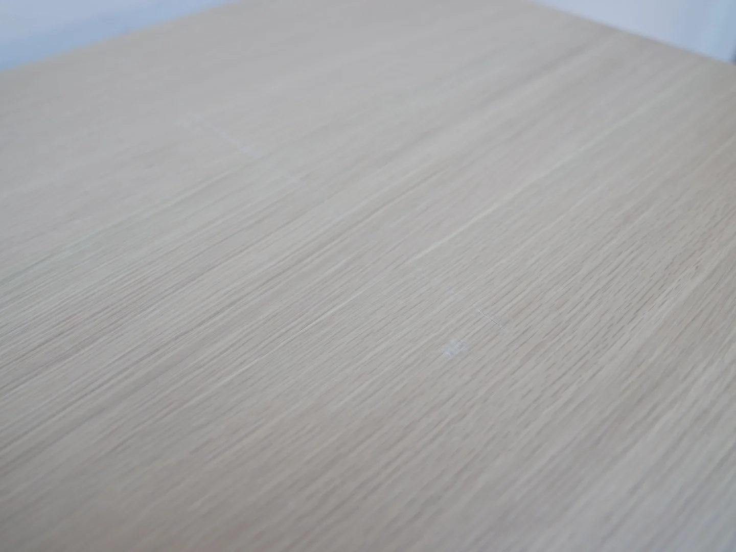 Photo Feb 12 2026, 3 45 12 PM.jpg