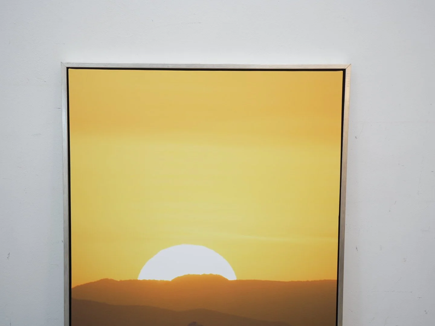 Photo Mar 26 2026, 1 15 58 PM.jpg