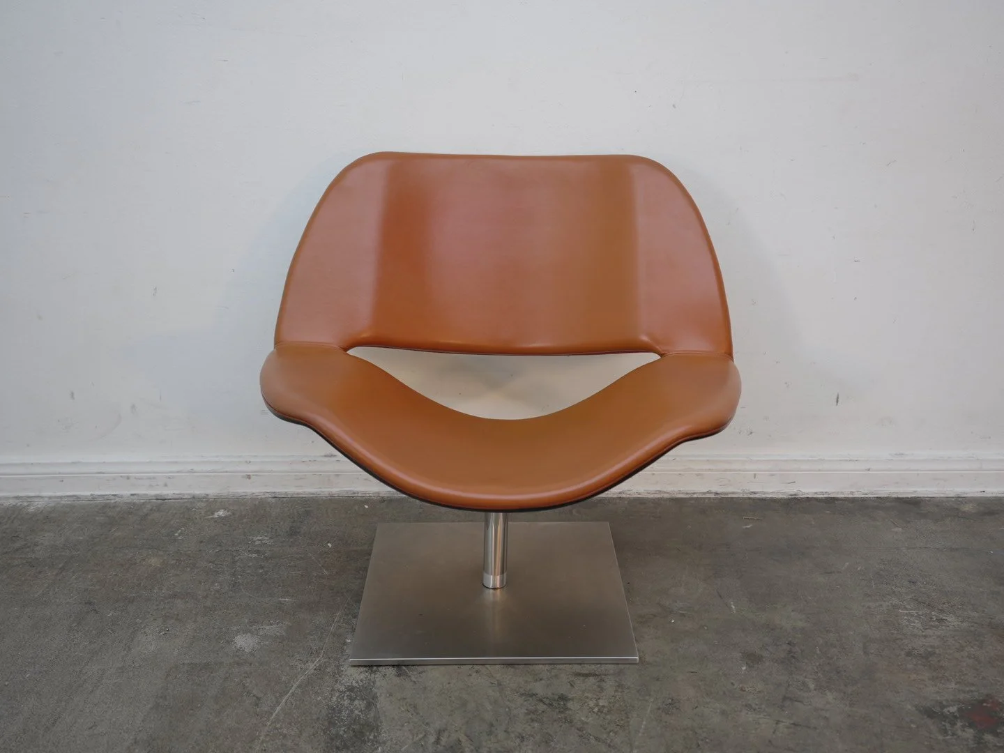 Photo Apr 28 2026, 4 35 40 PM.jpg