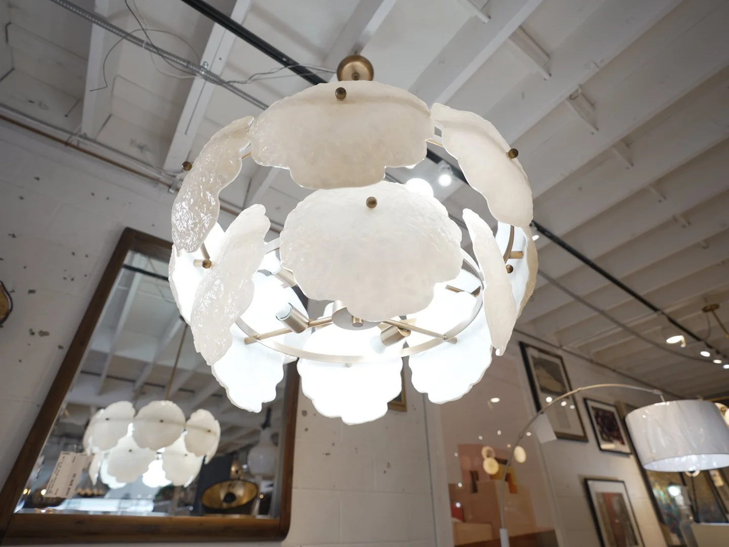 Photo Mar 13 2026, 11 18 29 AM.jpg