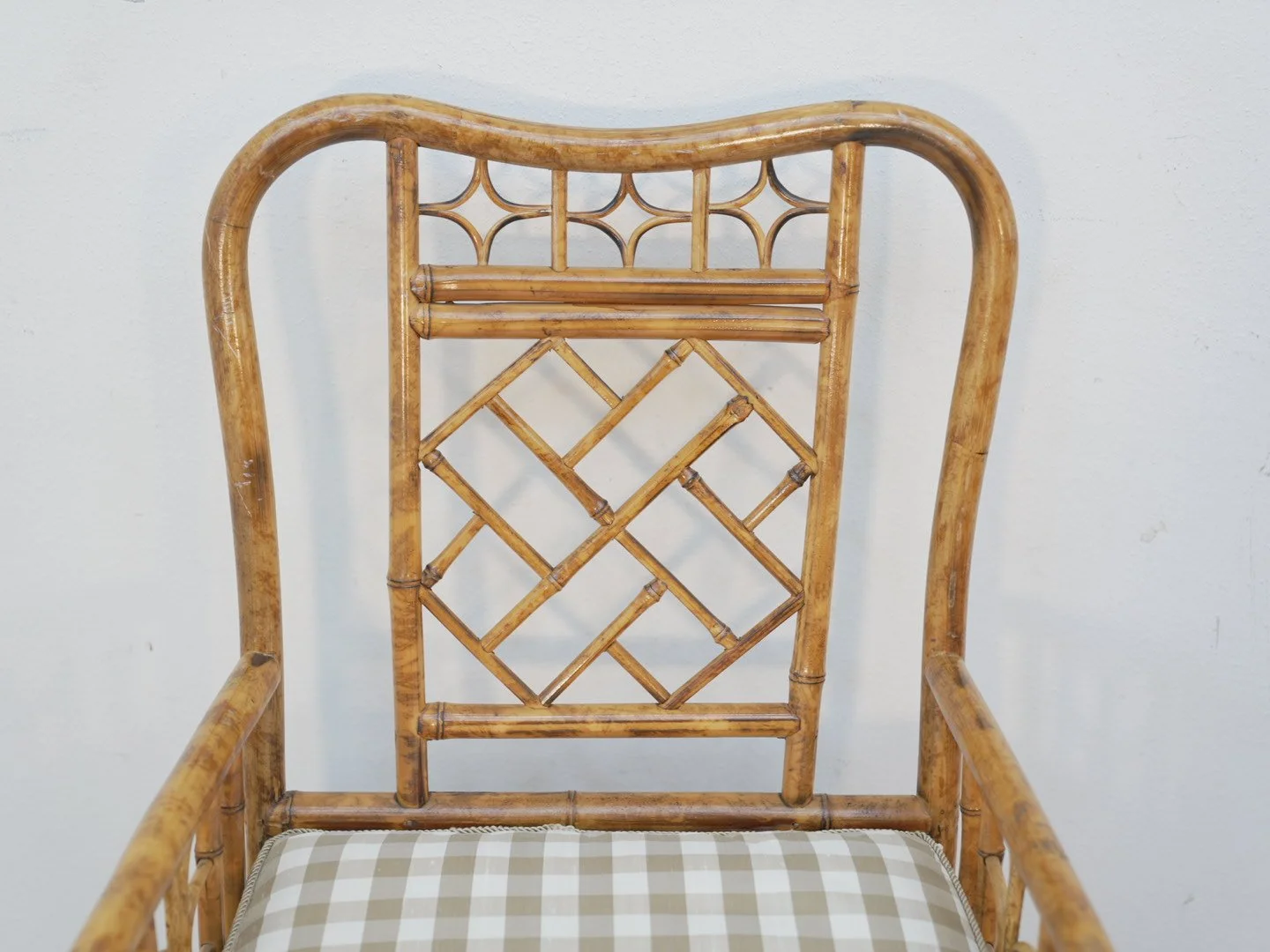 Photo Feb 13 2026, 2 46 59 PM.jpg