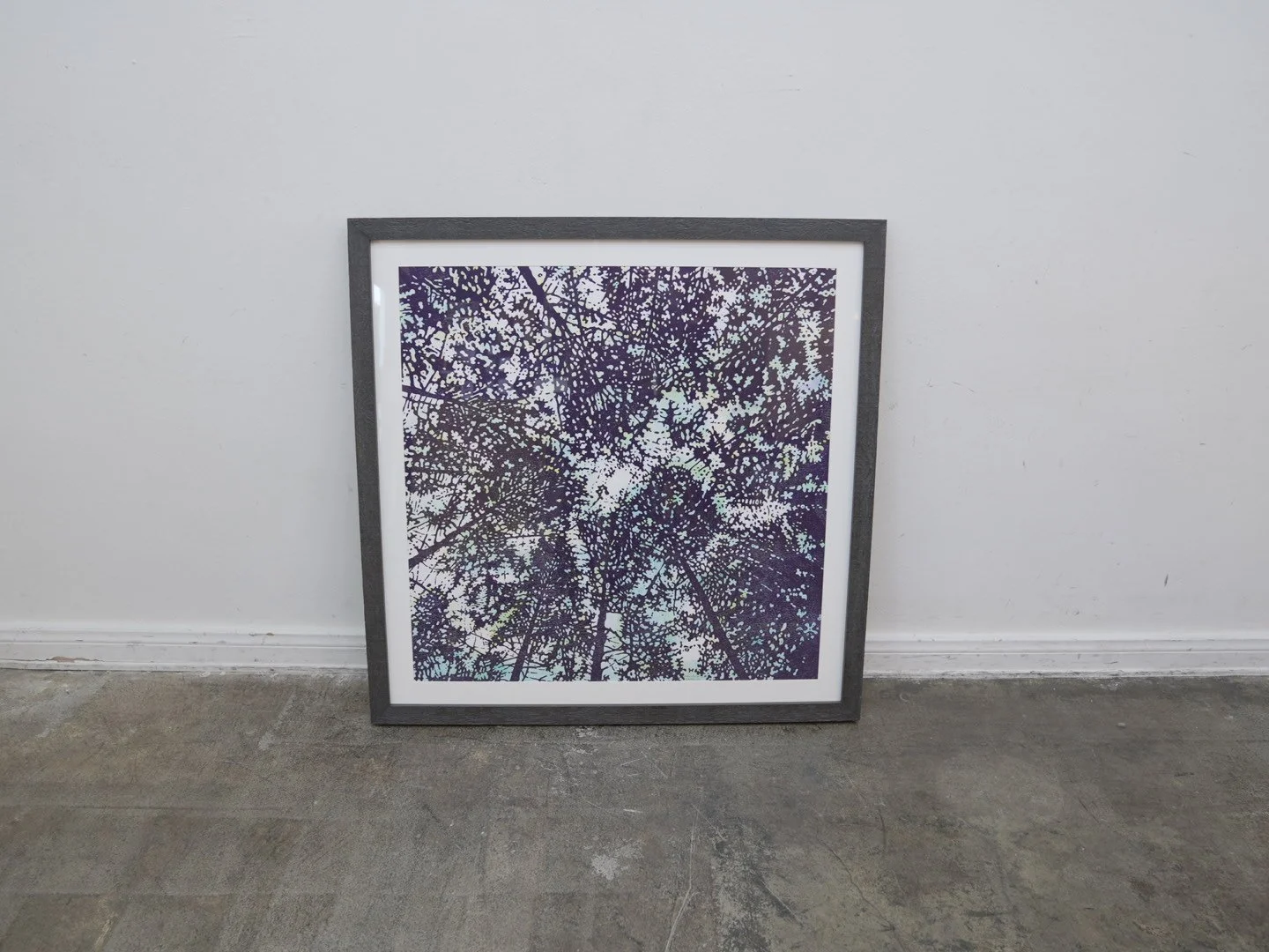 Photo Jan 29 2026, 1 48 49 PM.jpg