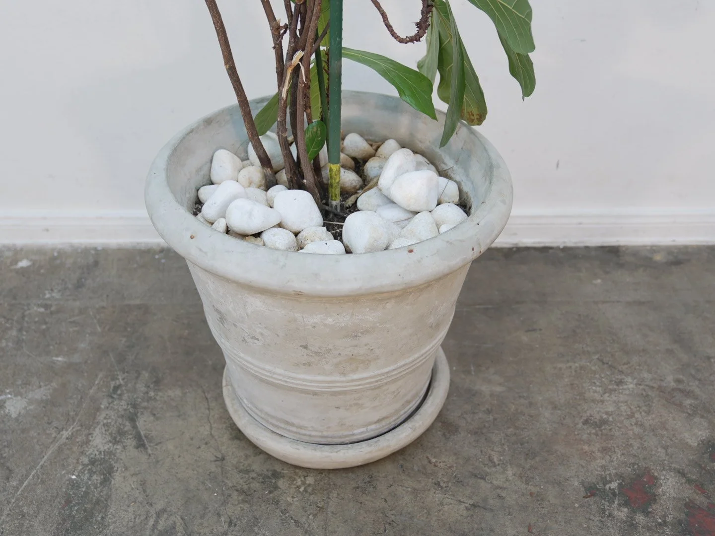 Photo Feb 06 2026, 5 39 16 PM.jpg