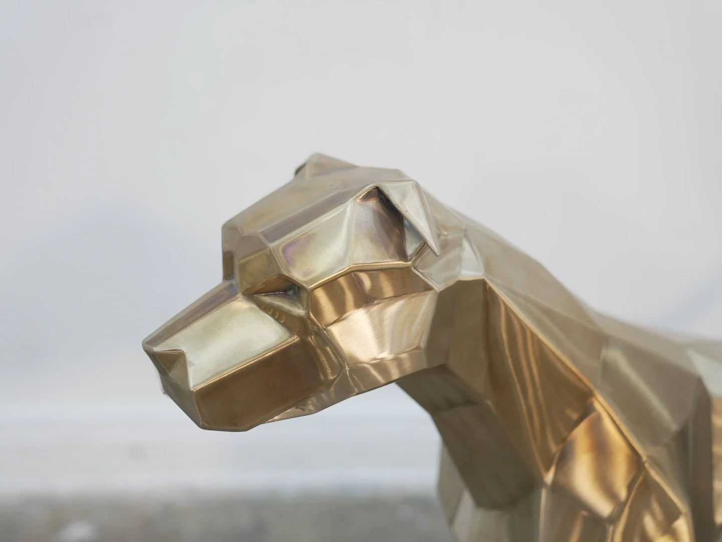 Photo Feb 08 2026, 11 57 26 AM.jpg