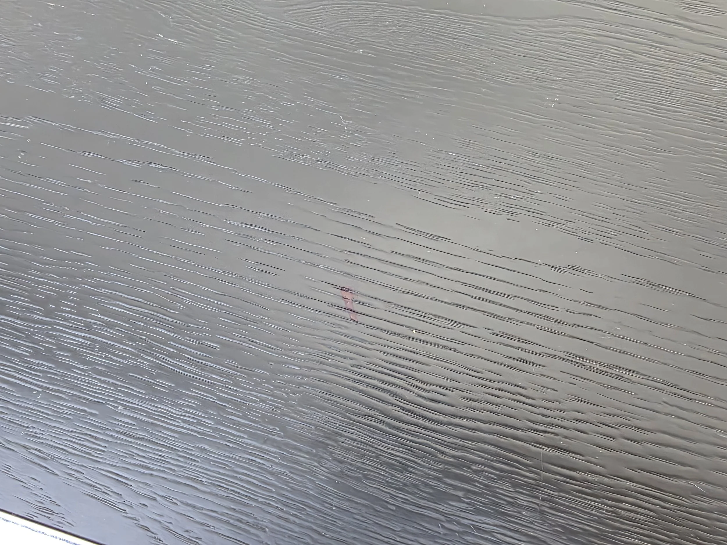 20260925_121051.jpg