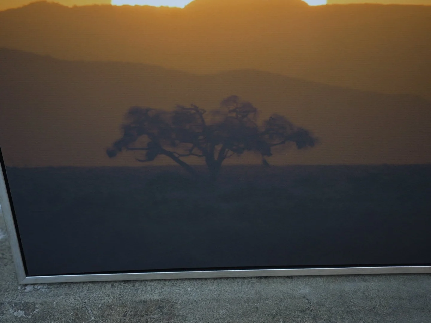 Photo Mar 26 2026, 1 16 23 PM.jpg