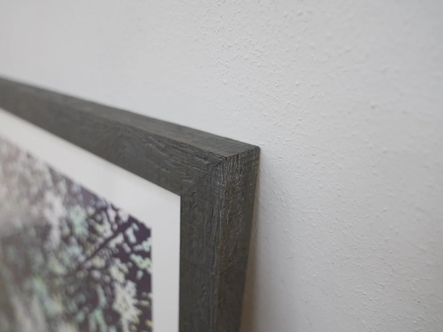 Photo Jan 29 2026, 1 49 17 PM.jpg