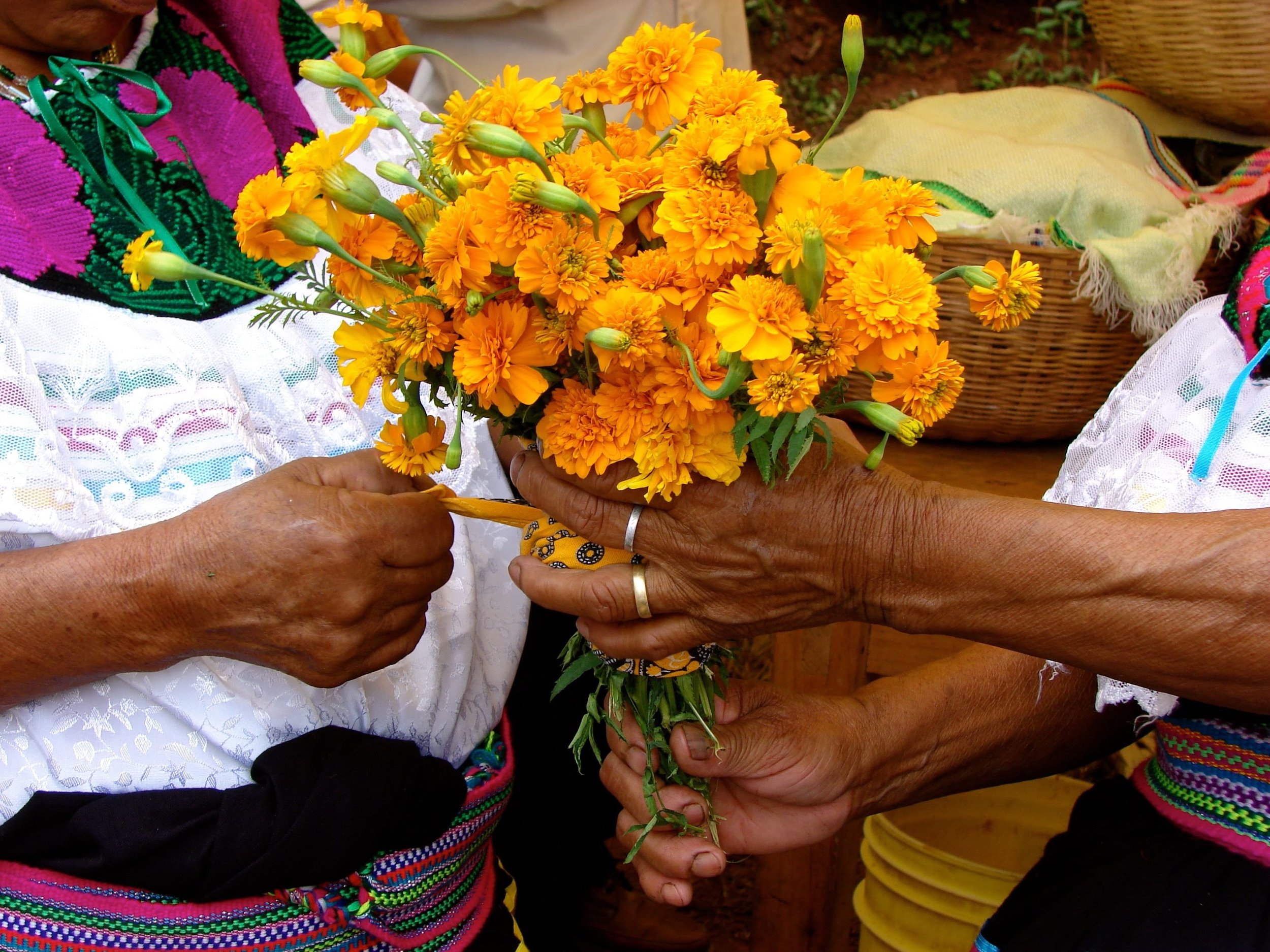 Hands-exchangingflower (1).jpg