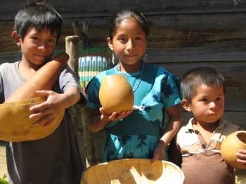 Back to basics: Food sovereignty in local food systems, by OEH Intern Carmen Wadleigh