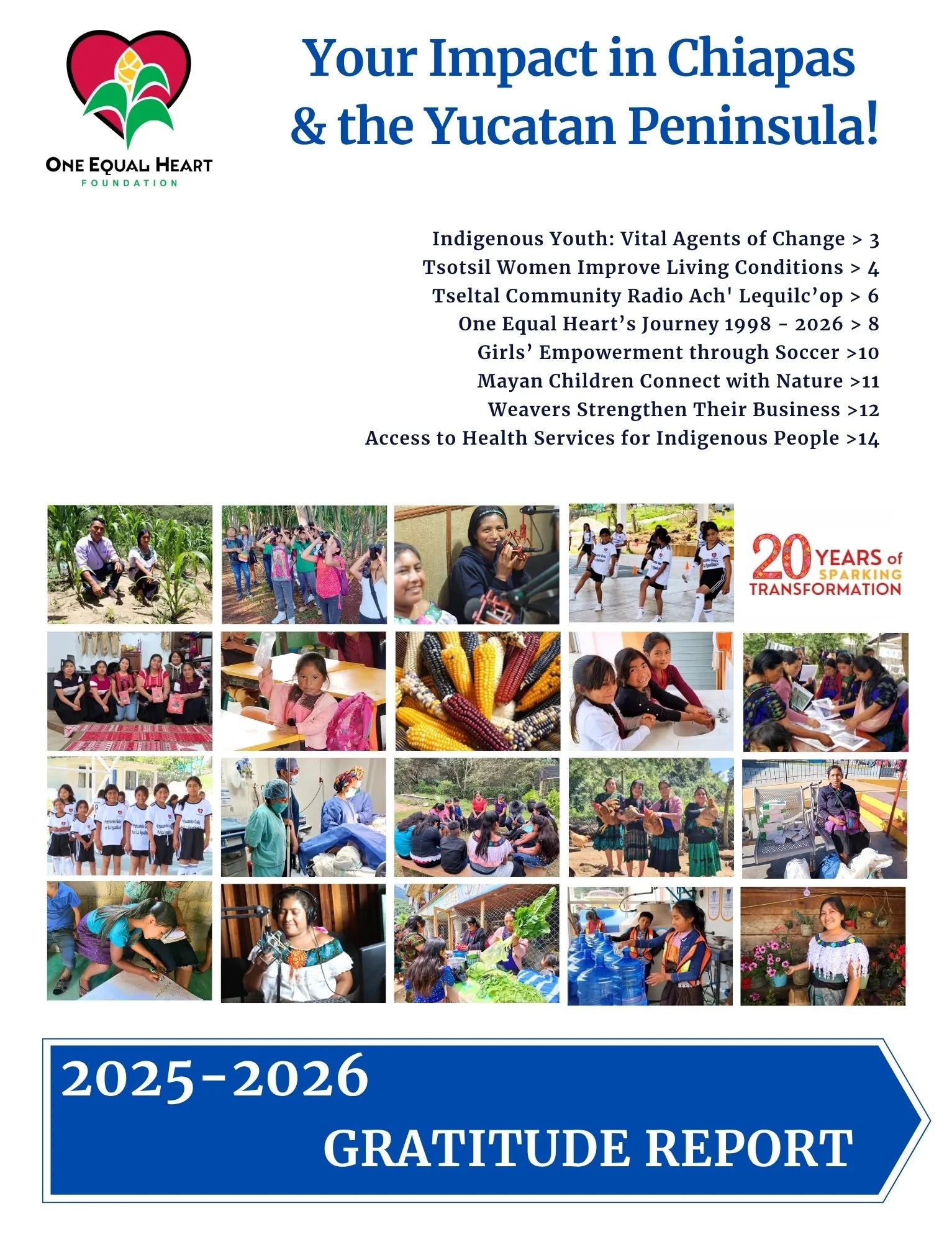 Read the 2025-2026 Annual Gratitude Report 