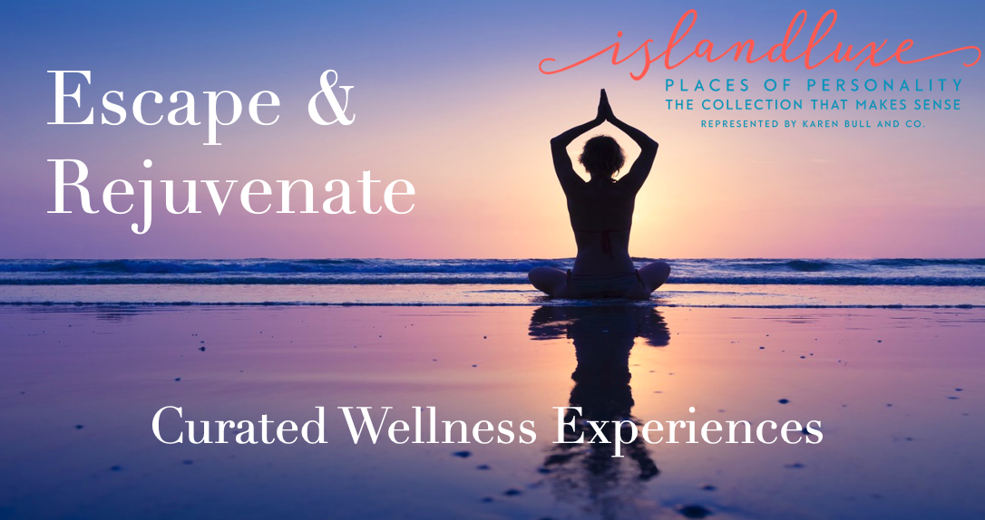 wellnesstravel.png