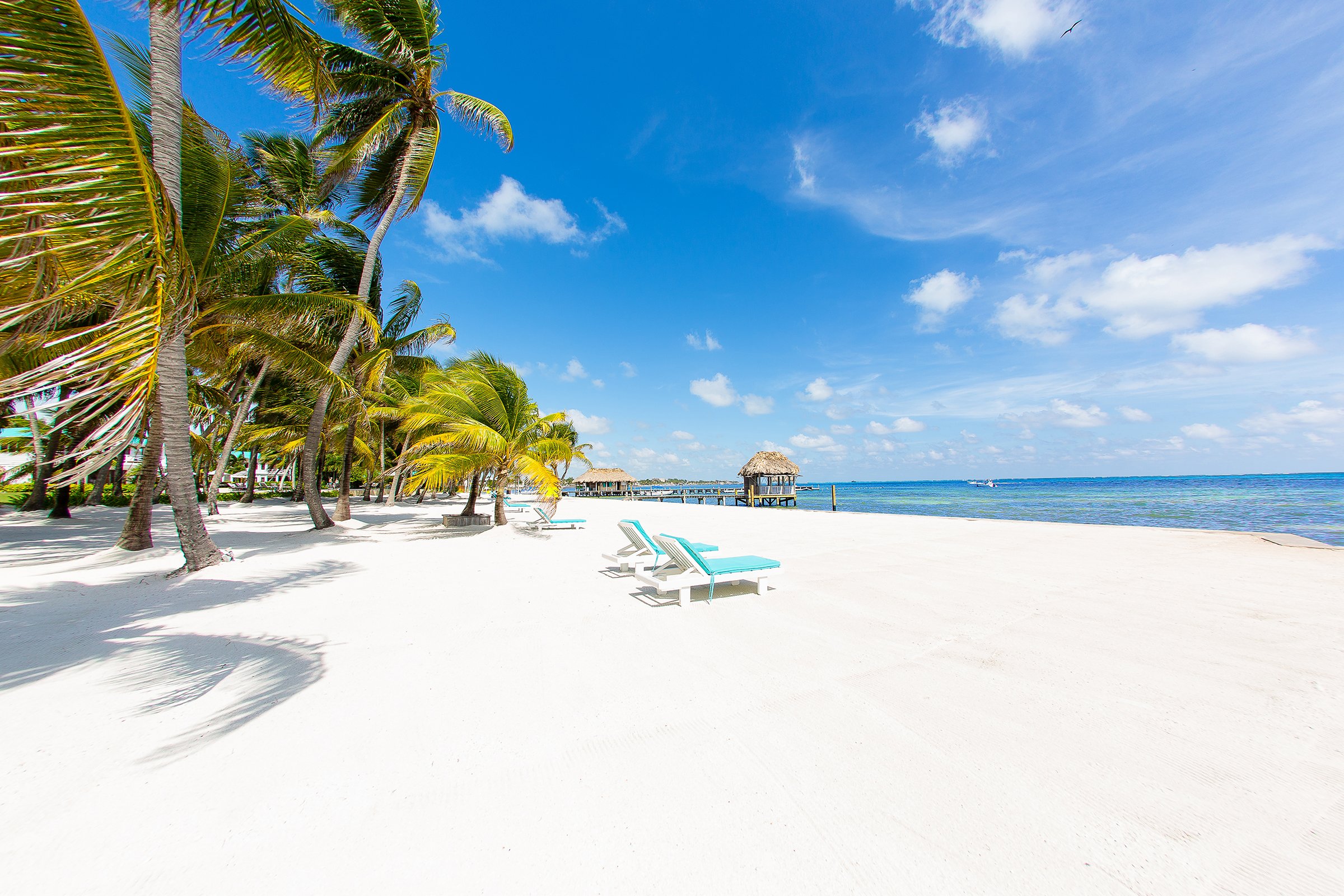 Beach (White Send) web.jpg