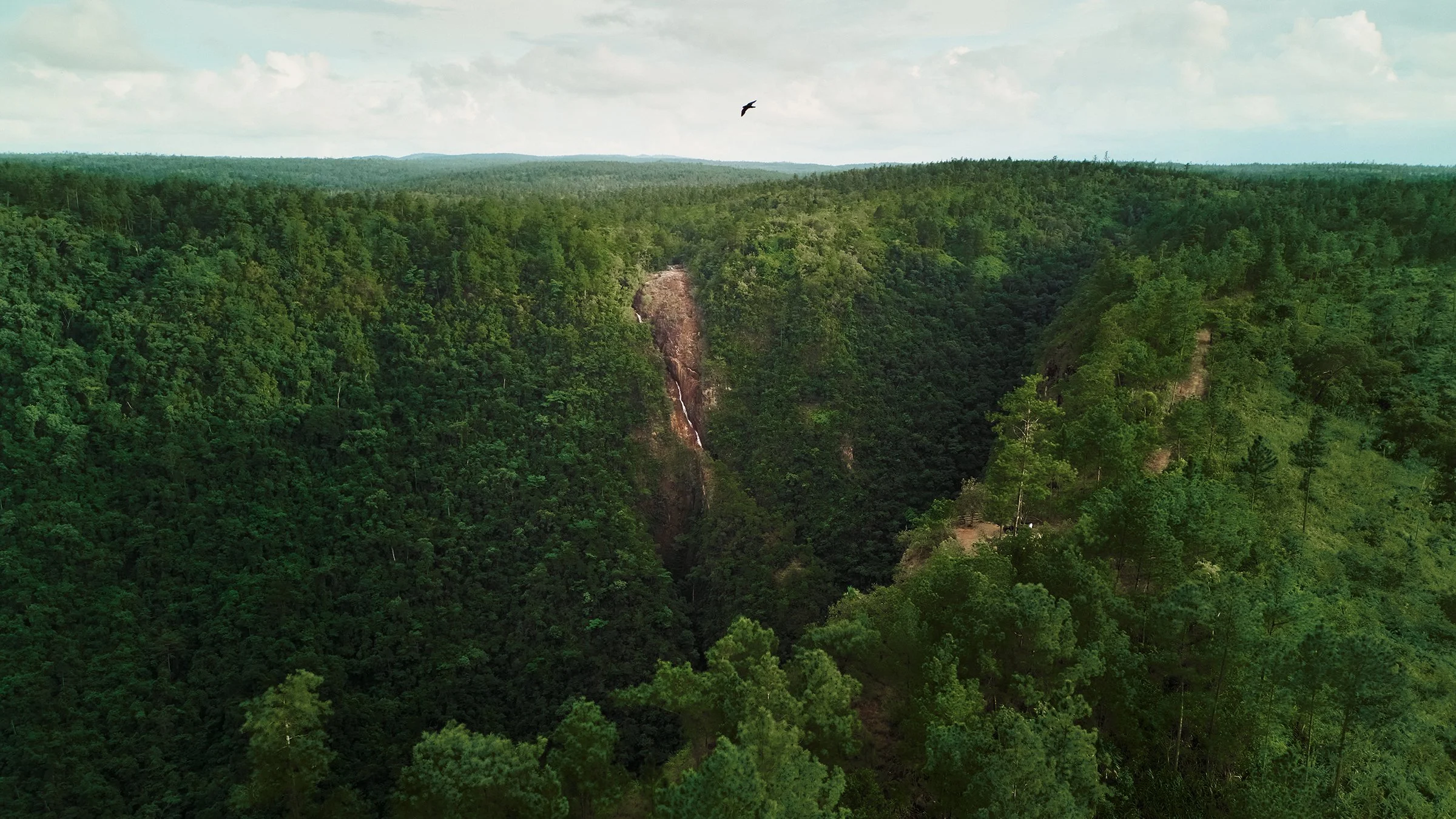Copy of DJI_20251015170100_0091_Dweb.jpg
