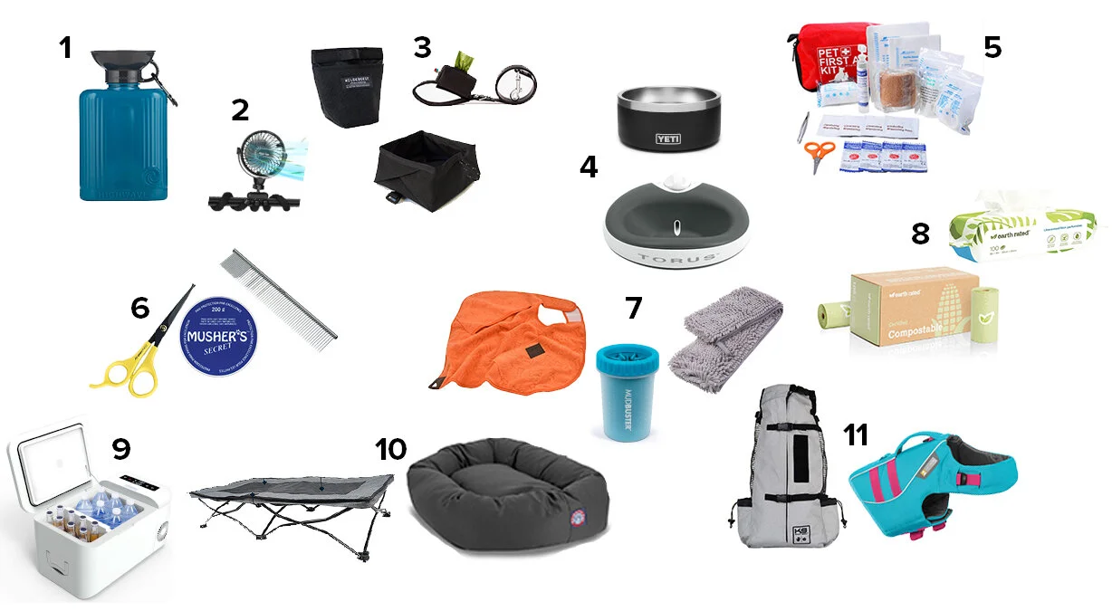 dog travel items