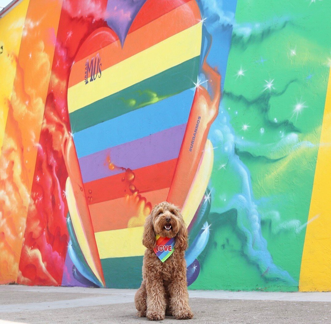 Love always wins ❤️🧡💛💚💙⁠
#loveislove #pridemonth ⁠
⁠
⁠
⁠
#OOTD: @cliveandbacon // RUBY10