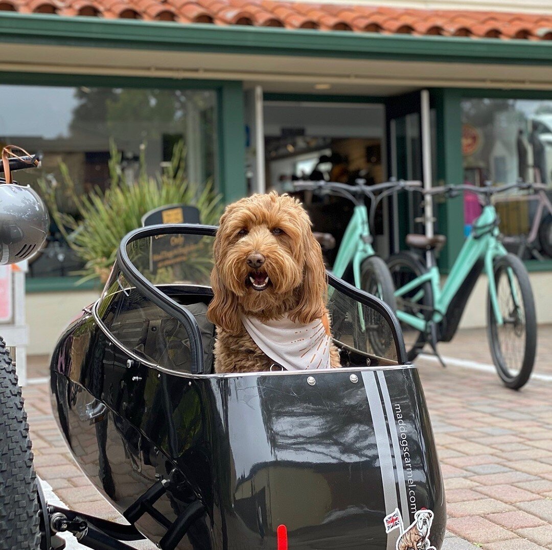 Rolling into the long weekend like...⁠
⁠
⁠
Beyond excited for the extra day of fun this weekend and the summer activities we have planned (Napa &amp; pool time)!⁠
⁠
How are you spending the long weekend? R&amp;R or out and about?⁠
⁠
⁠
#OOTD: @ripleya