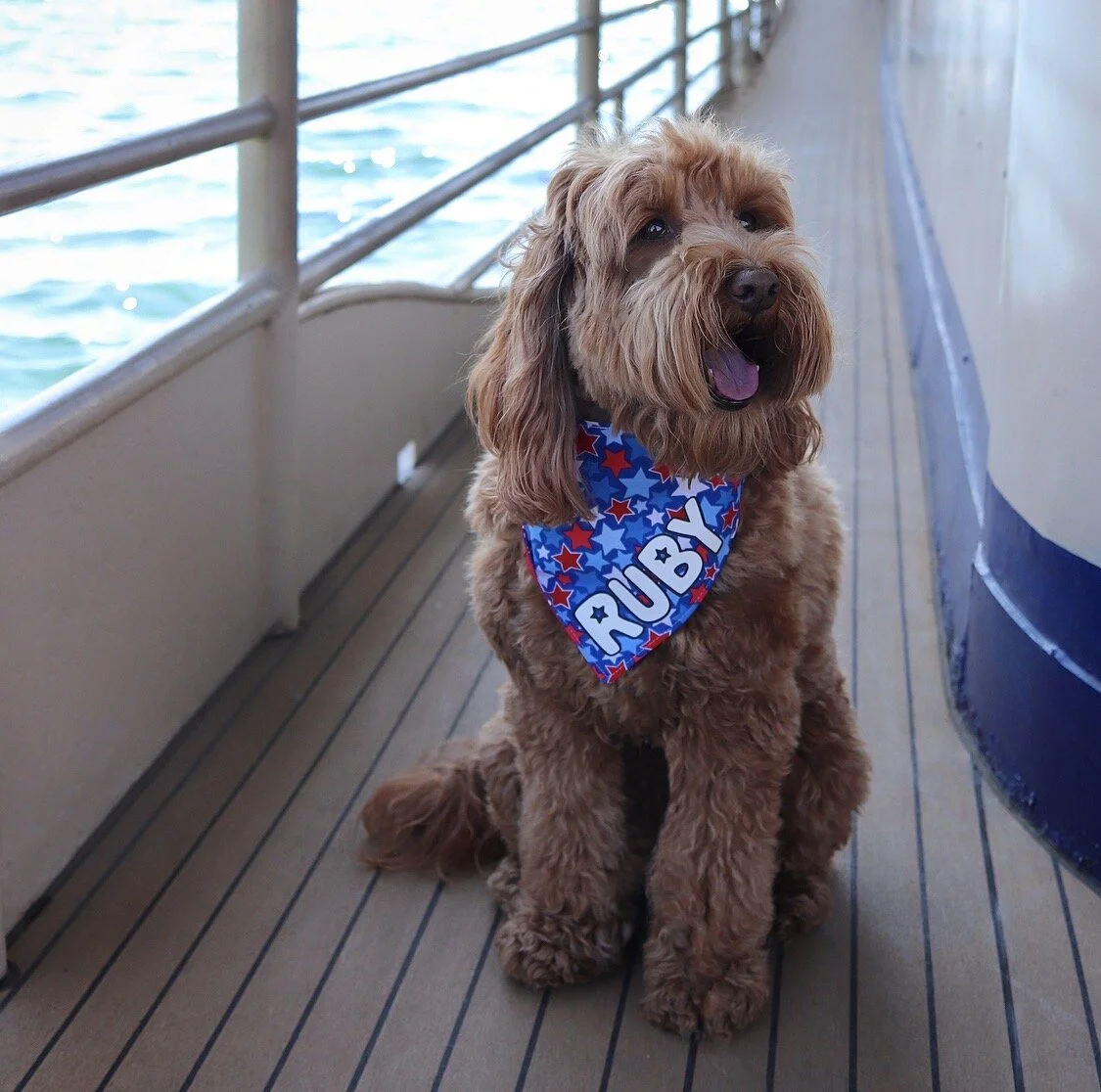 Dog Friendly Guide to Coeur d'Alene — HELLORUBYDOODLE