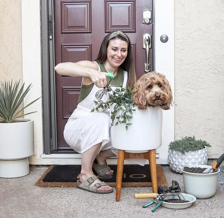 Halloween Costume Ideas for You and Your Dog — HELLORUBYDOODLE