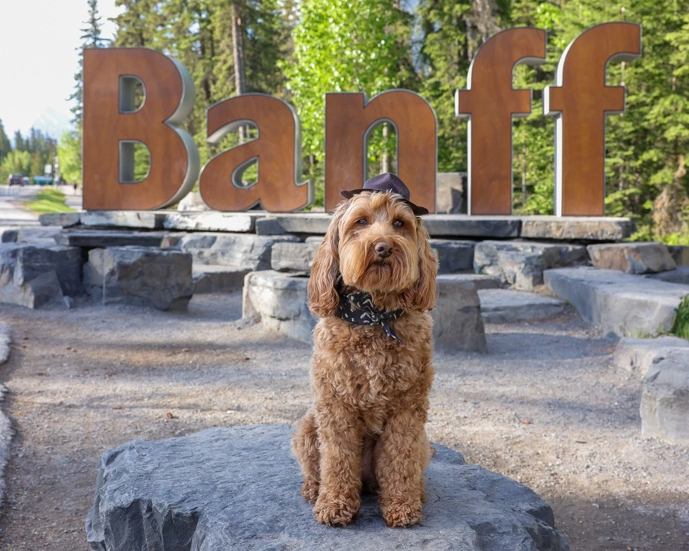 10 Must See Viewpoints in Banff — HELLORUBYDOODLE