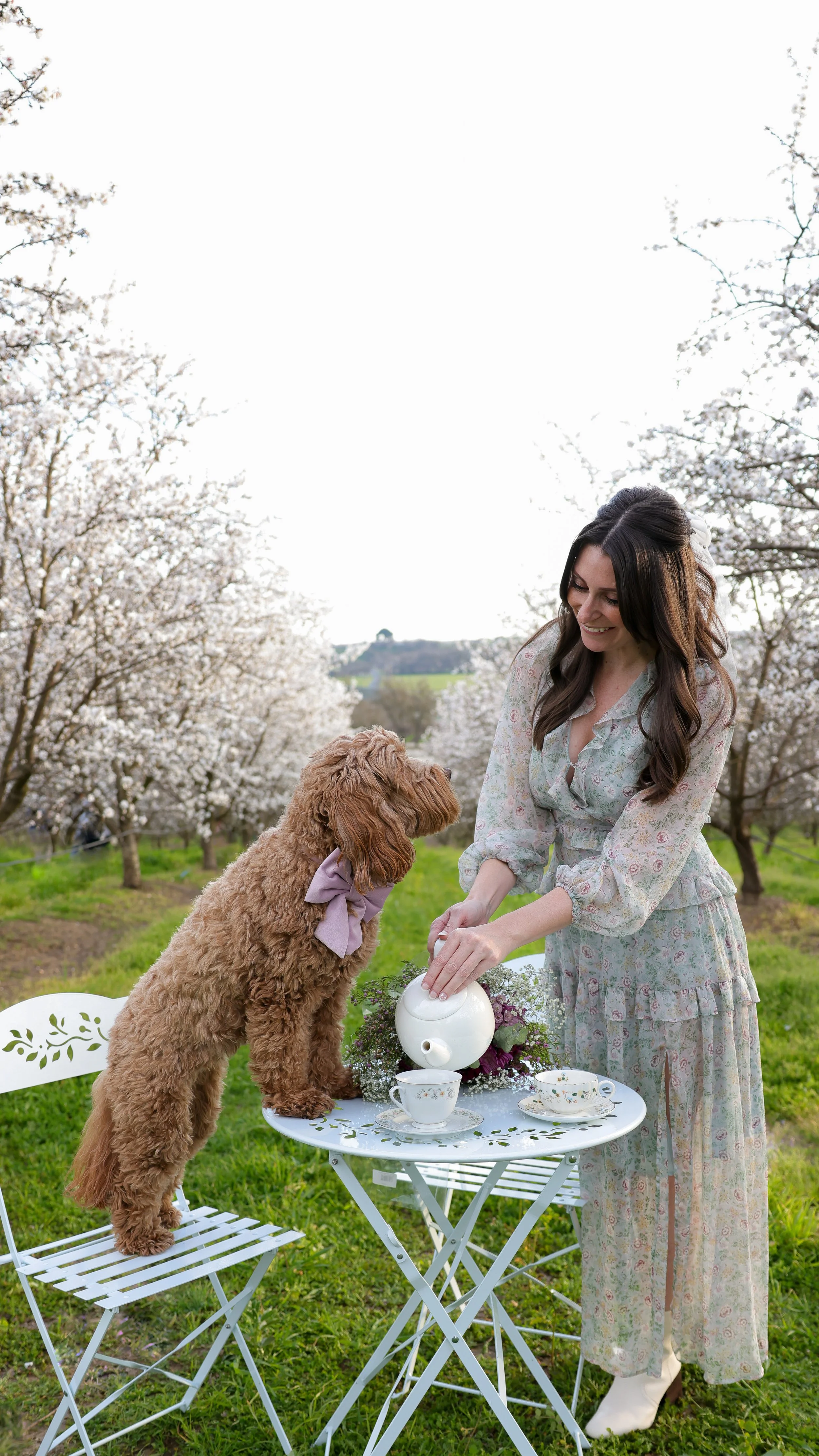 18 Photos to Inspire You to Visit Modesto, CA for Almond Blossom Season