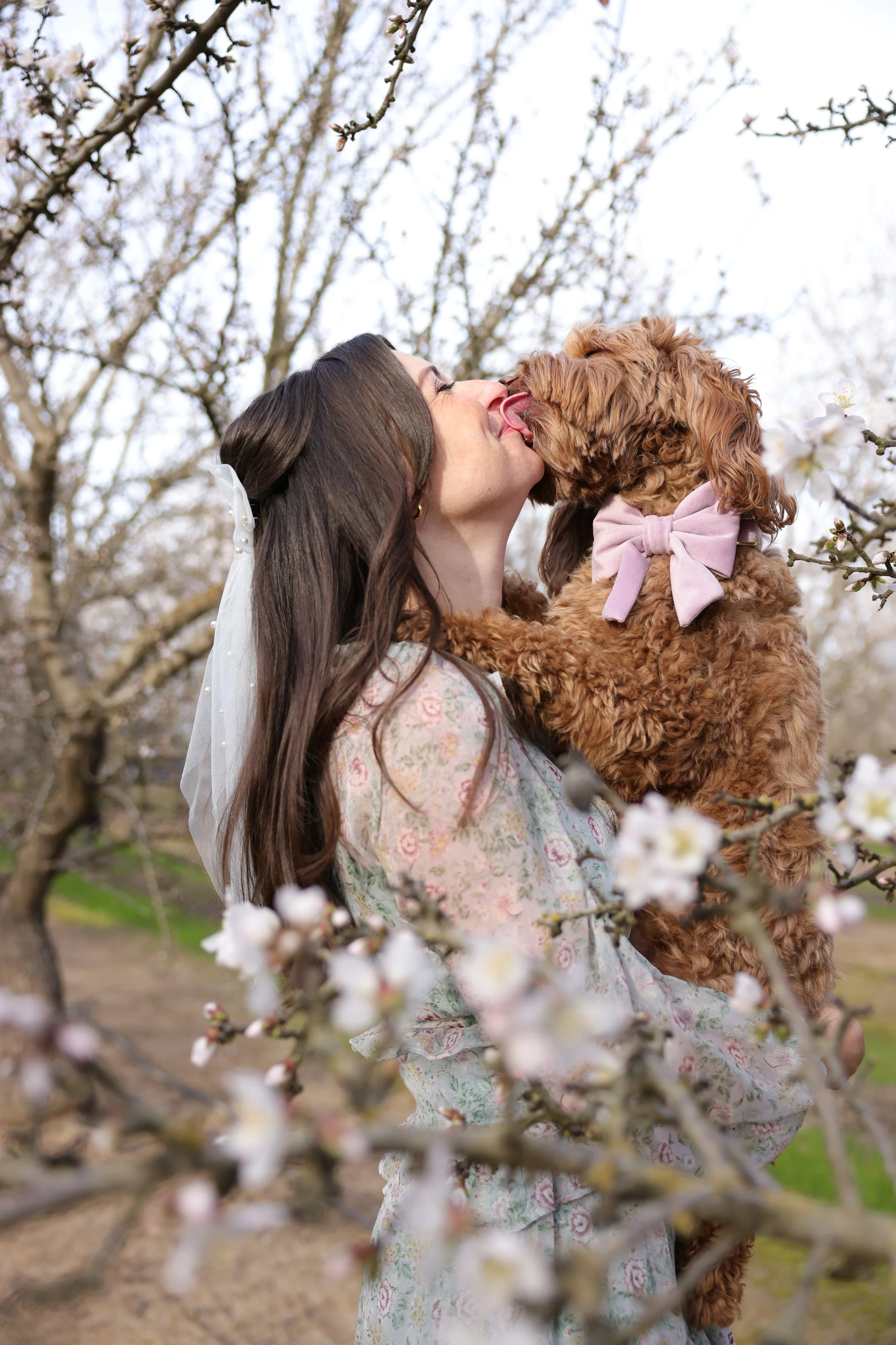 18 Photos to Inspire You to Visit Modesto, CA for Almond Blossom Season