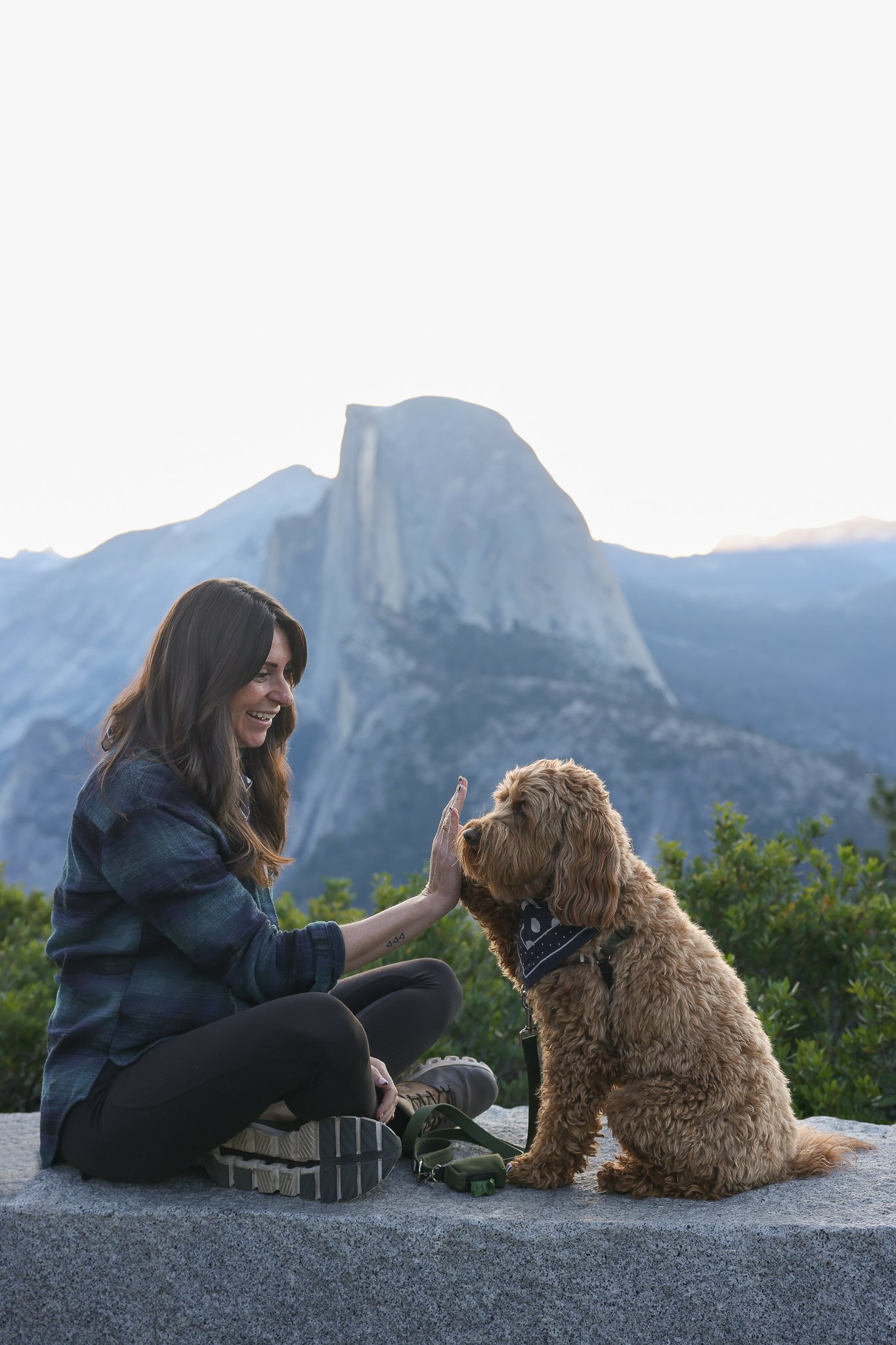 Are Dogs Allowed In Yosemite