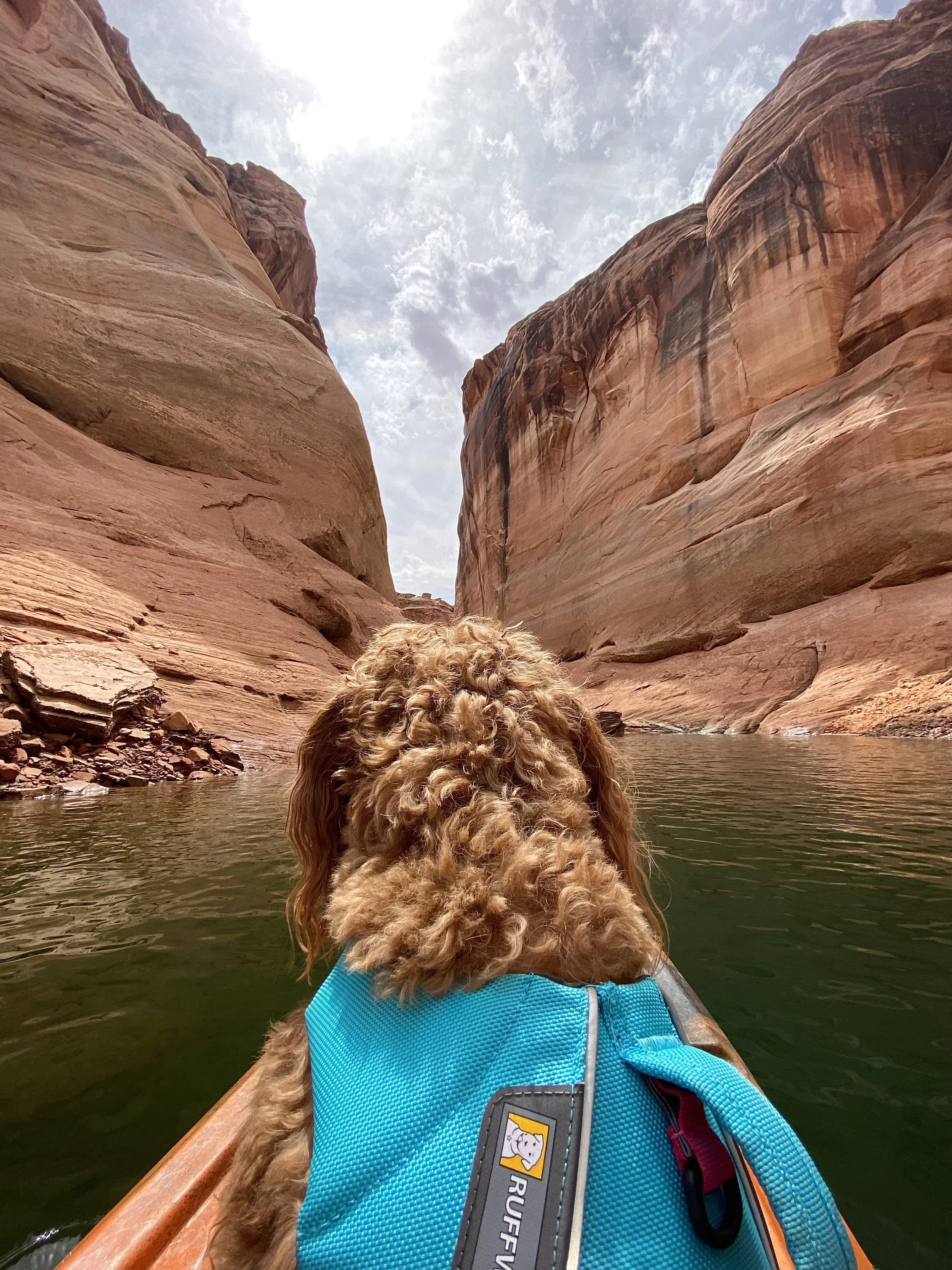 Kayaking Lake Powell to Antelope Canyon with Your Dog — HELLORUBYDOODLE