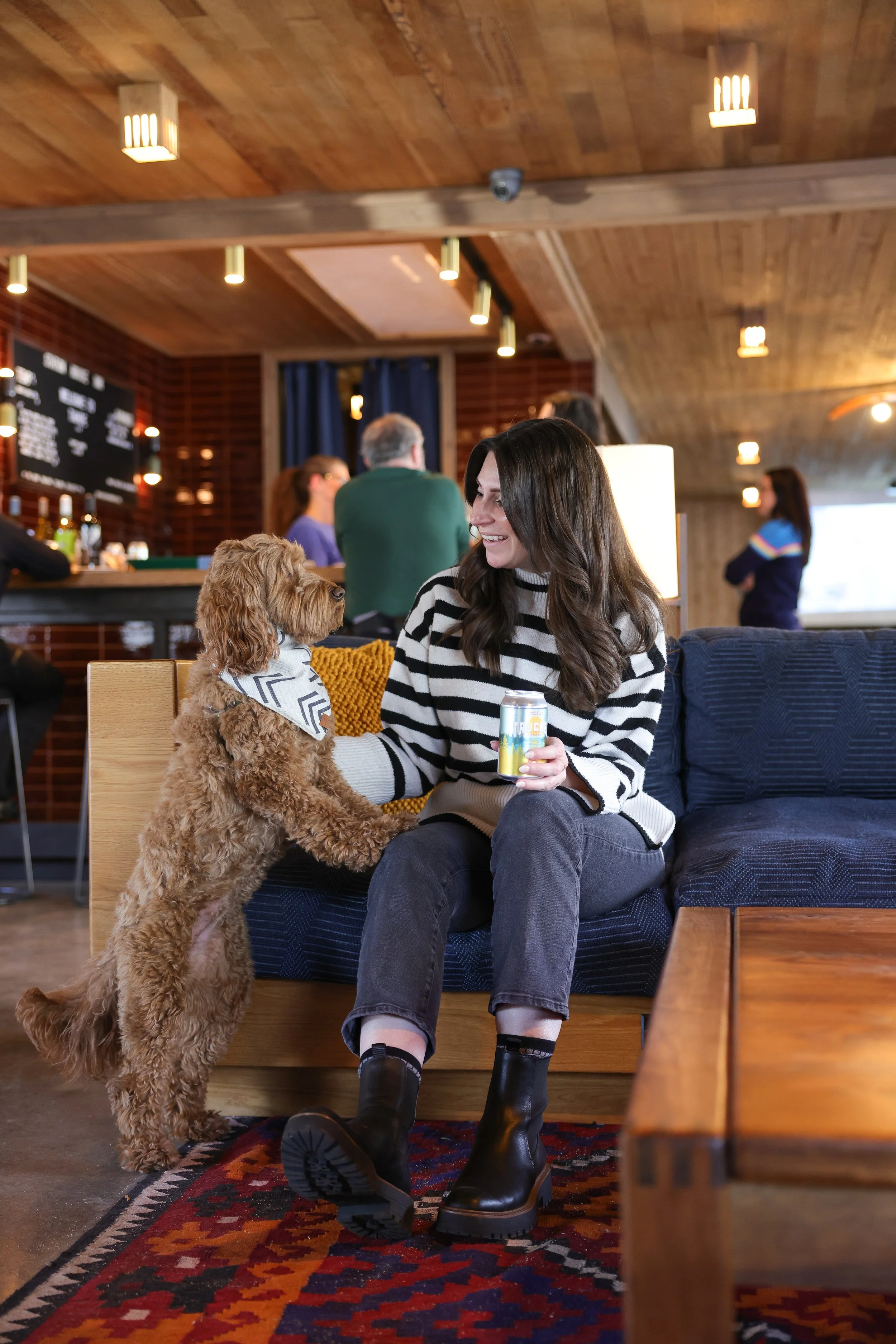 Dogfriendly Winter Getaway to South Lake Tahoe — HELLORUBYDOODLE