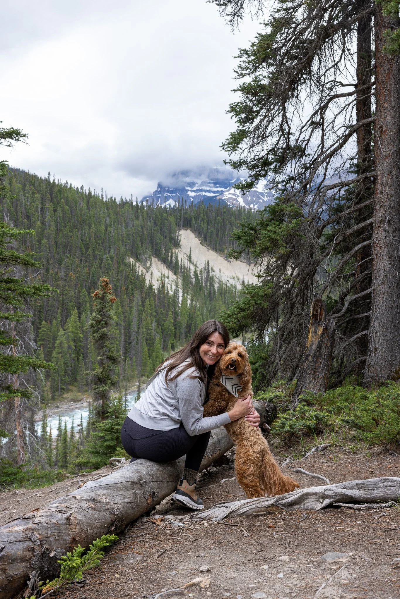 Dogfriendly Guide to Banff Canada — HELLORUBYDOODLE