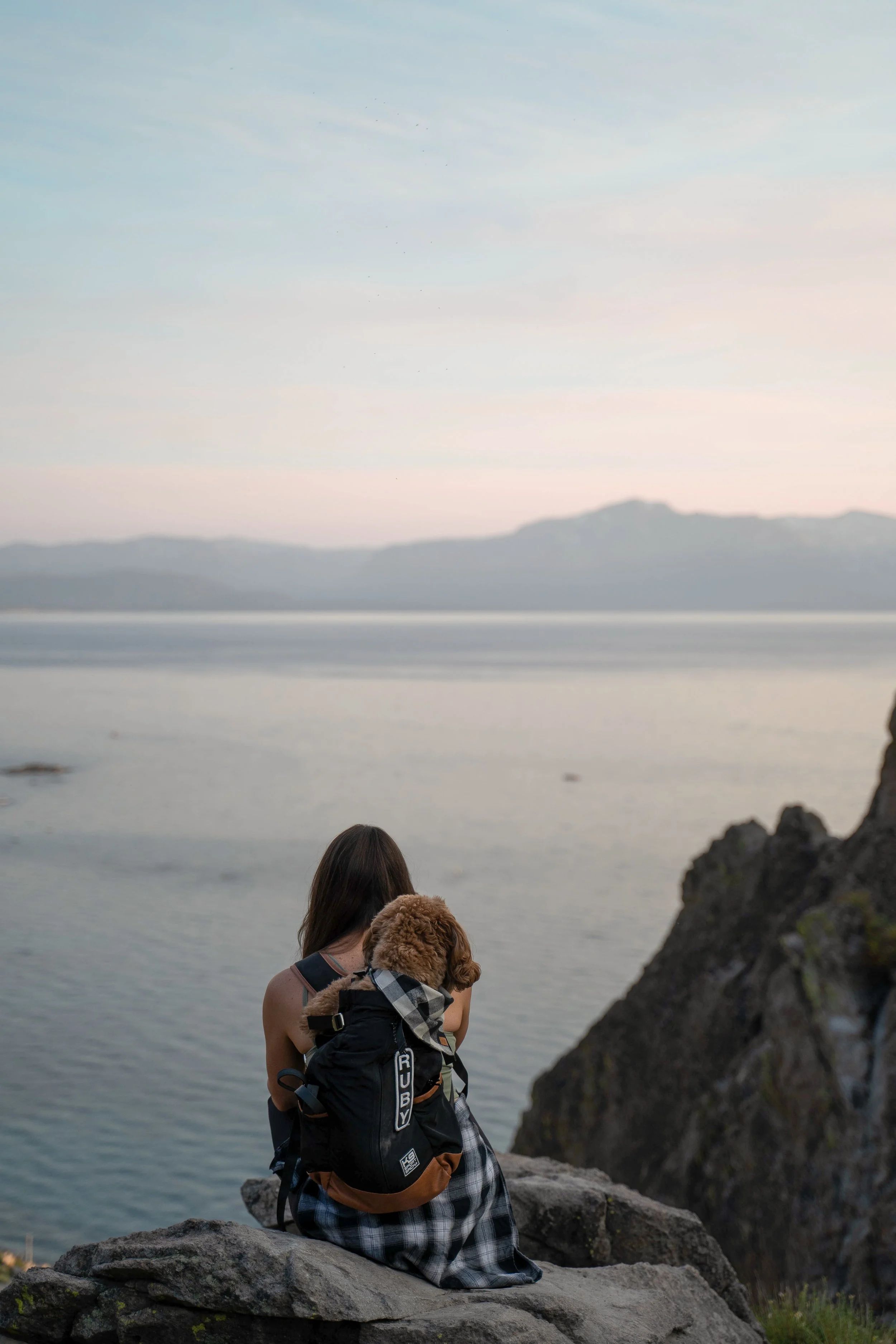 The Ultimate Dog Friendly Guide to Lake Tahoe in the Summer