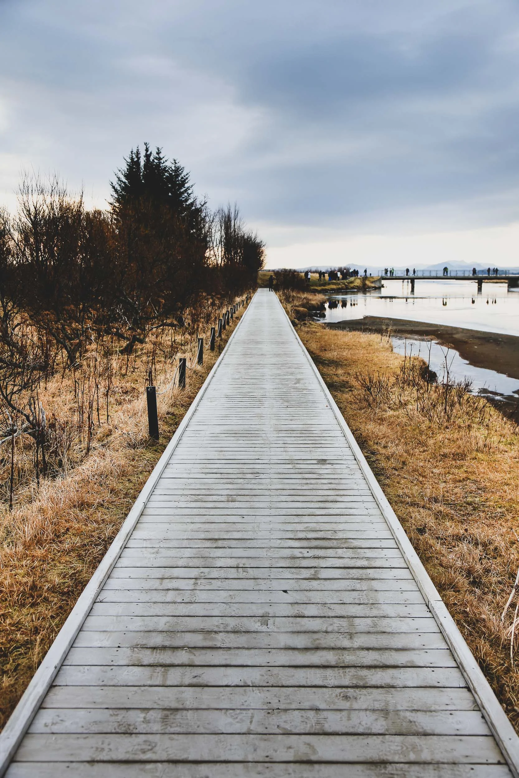 isl_squarespace-4.jpg