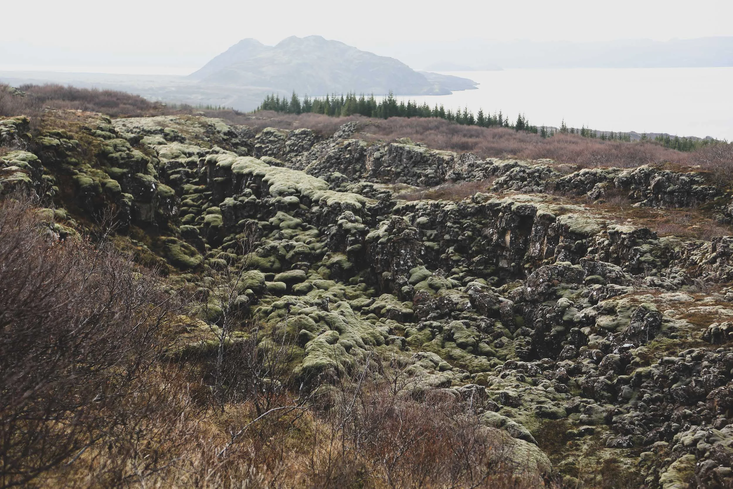 isl_squarespace-7.jpg