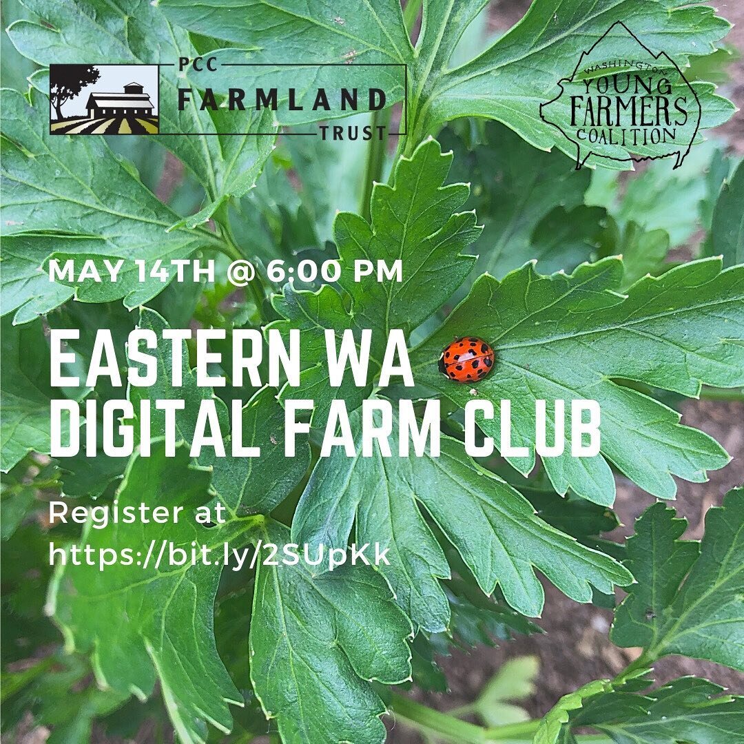 We had a great time hosting our first digital Farm Club last week, so we can&rsquo;t wait to hang out with you tomorrow Eastern WA! Zoom link will be sent out to the email you use to register -  and you can find the link to do that in our profile. Th