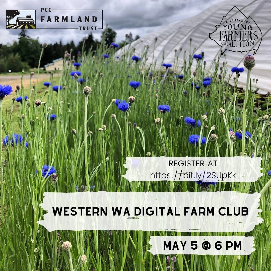 Reminder to register for our Western WA Farm Club tomorrow! Link will be sent out at 12:00 and again at 5:45 before we start. Hope you can join us! Register at https://bit.ly/2S6UpKk Farm clubs are supported this year by @pccfarmlandtrust 🌱