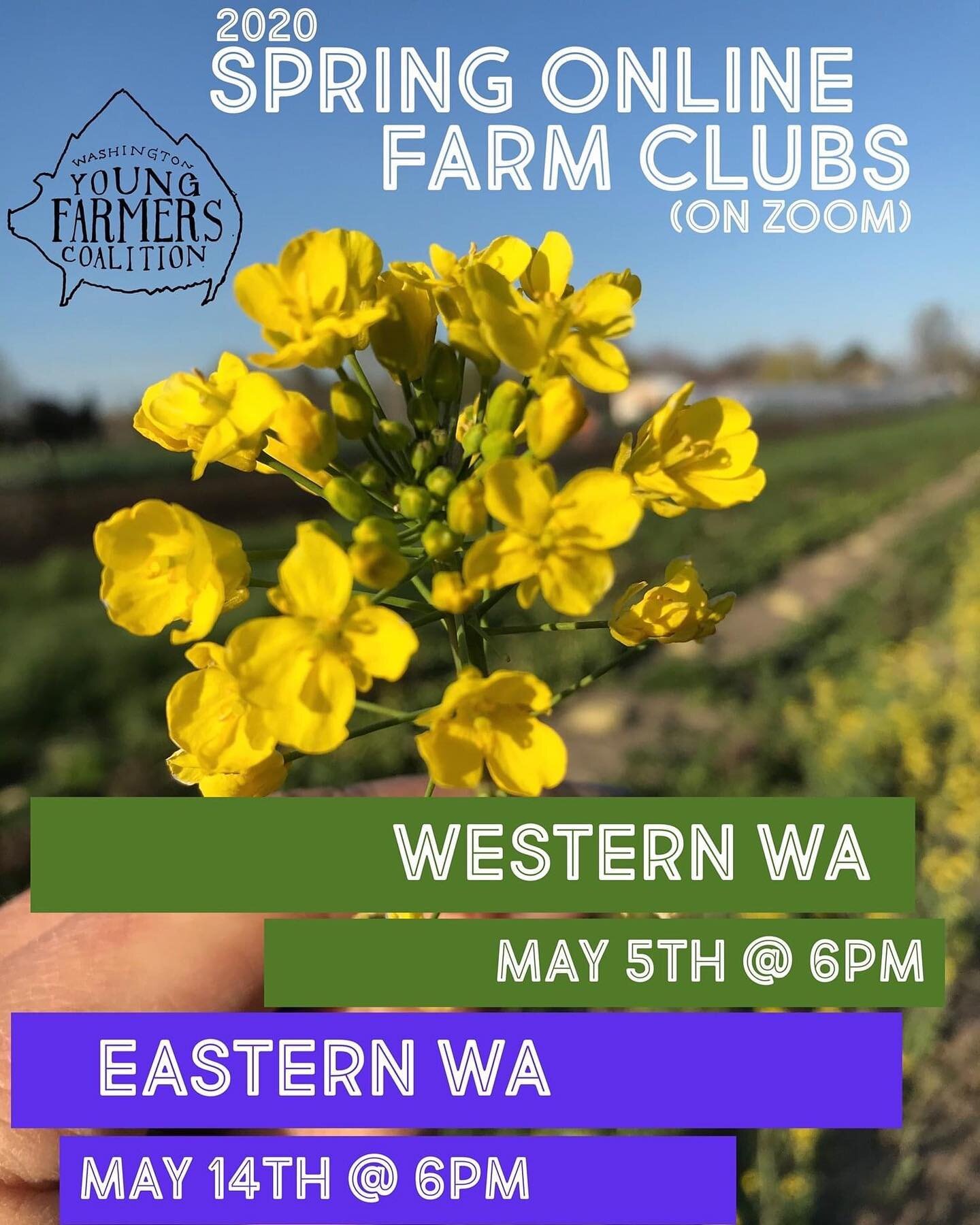 WA Young Farmers Coalition has a tradition of Farm Clubs where farmers and our farm crew members (and our families, friends, supporters) gather to socialize, exchange knowledge and hot takes, and discuss whatever we see fit! We'll be hosting two digi