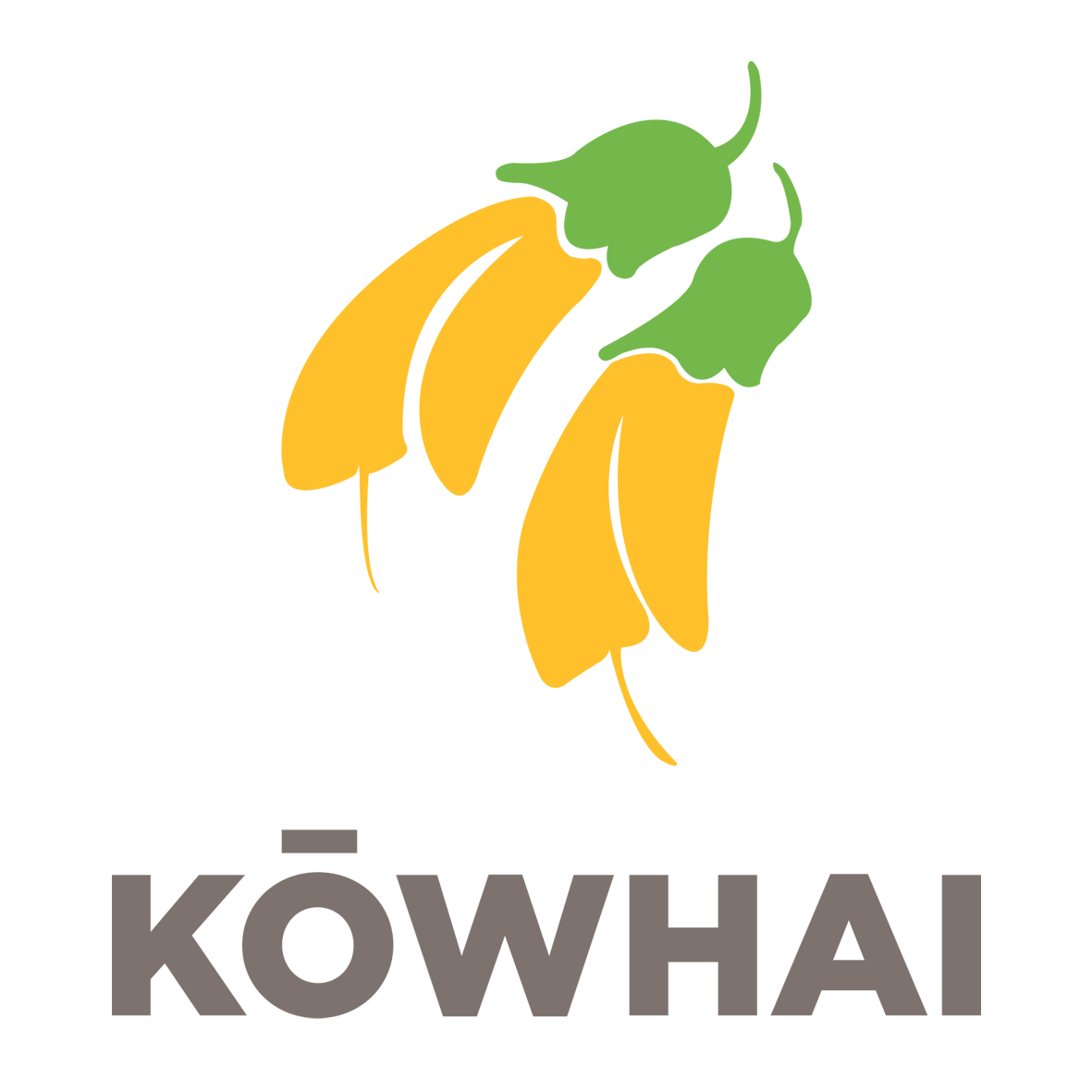 KOWHAI-illustration.png