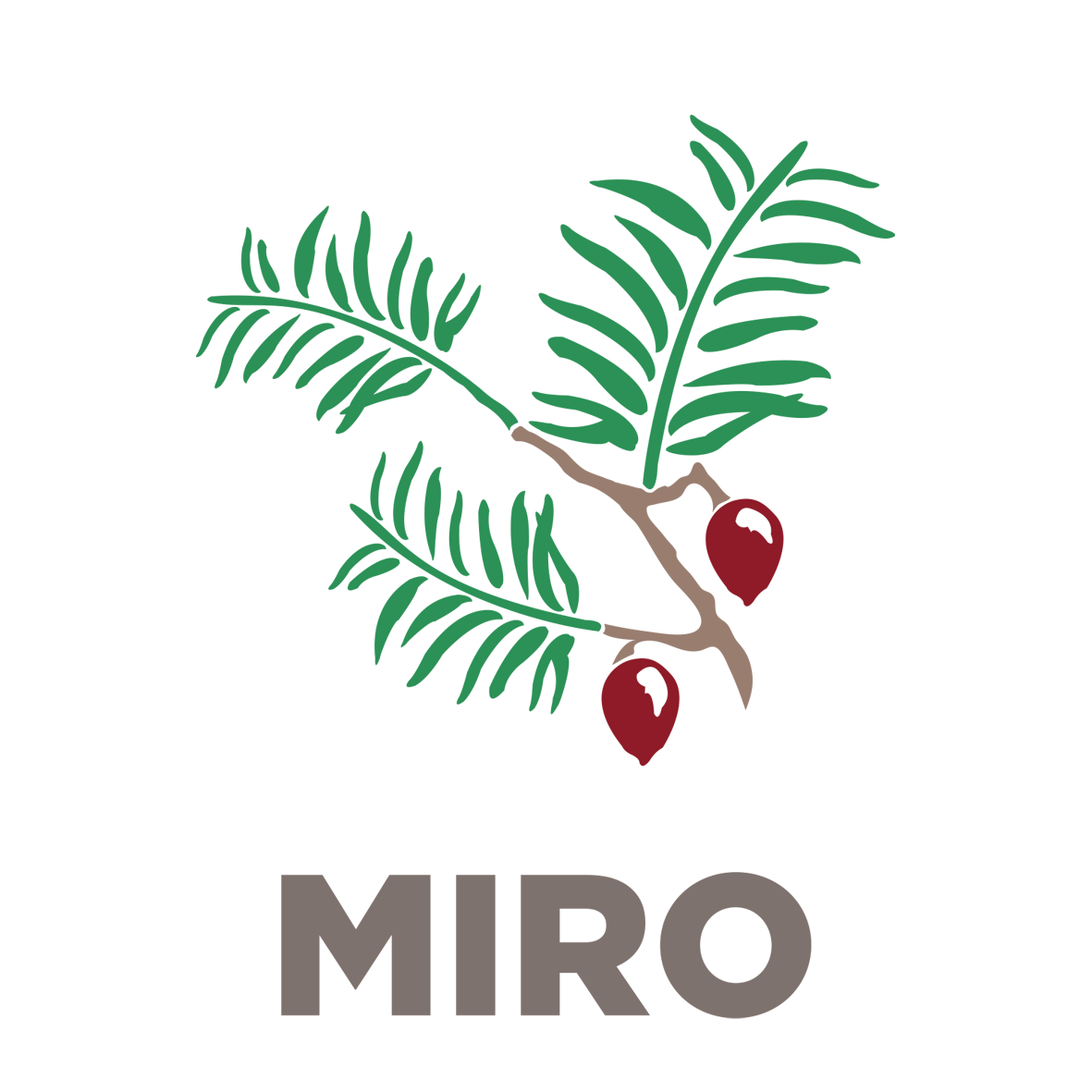 MIRO-illustration.png