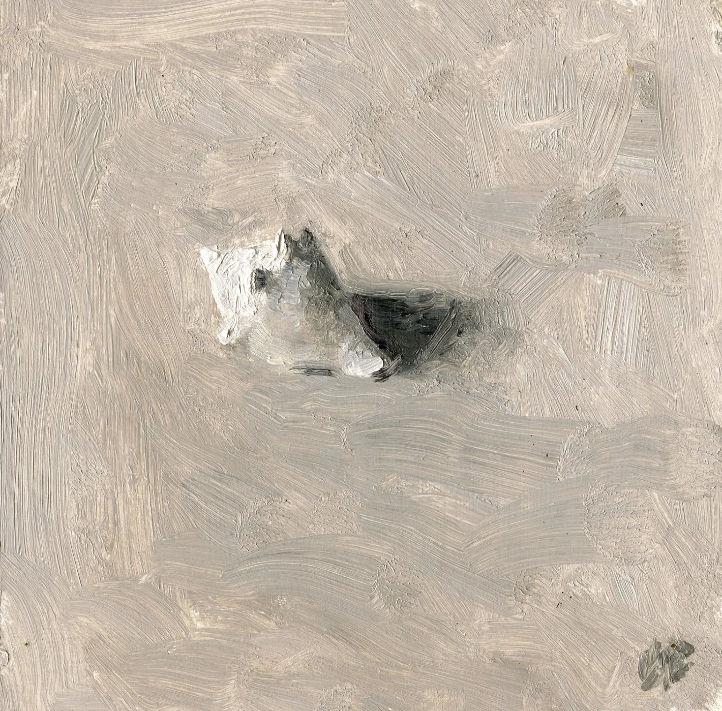 Gray Day - Tiny Shell