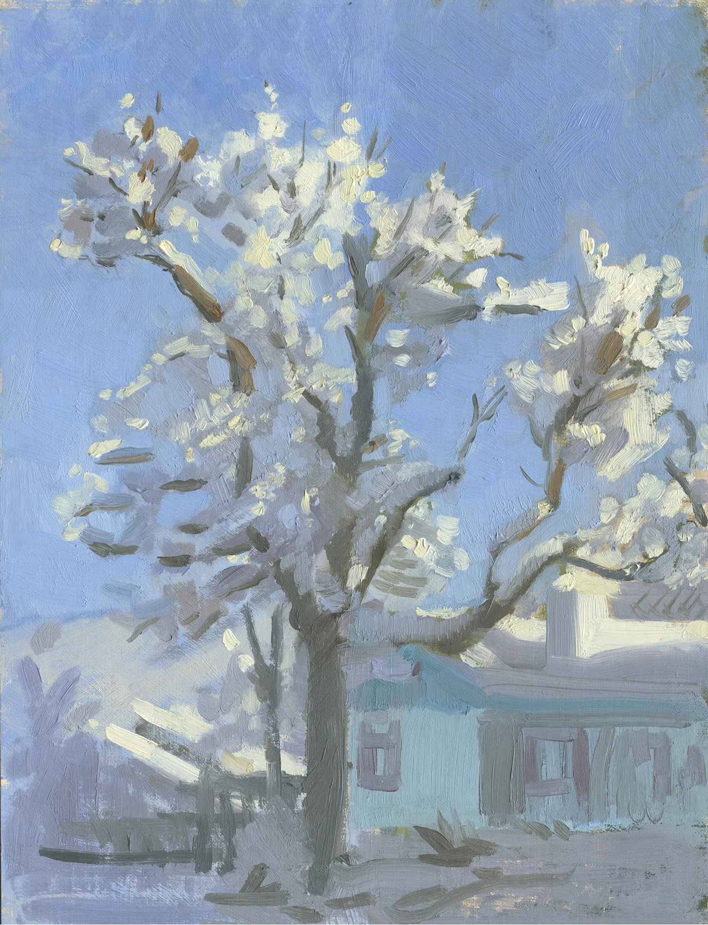 Neighbor's Tree, January