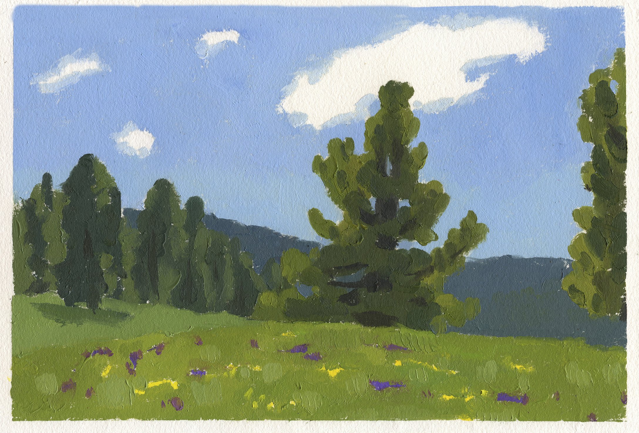 Spring at Vesper Meadow - Oil Sketch