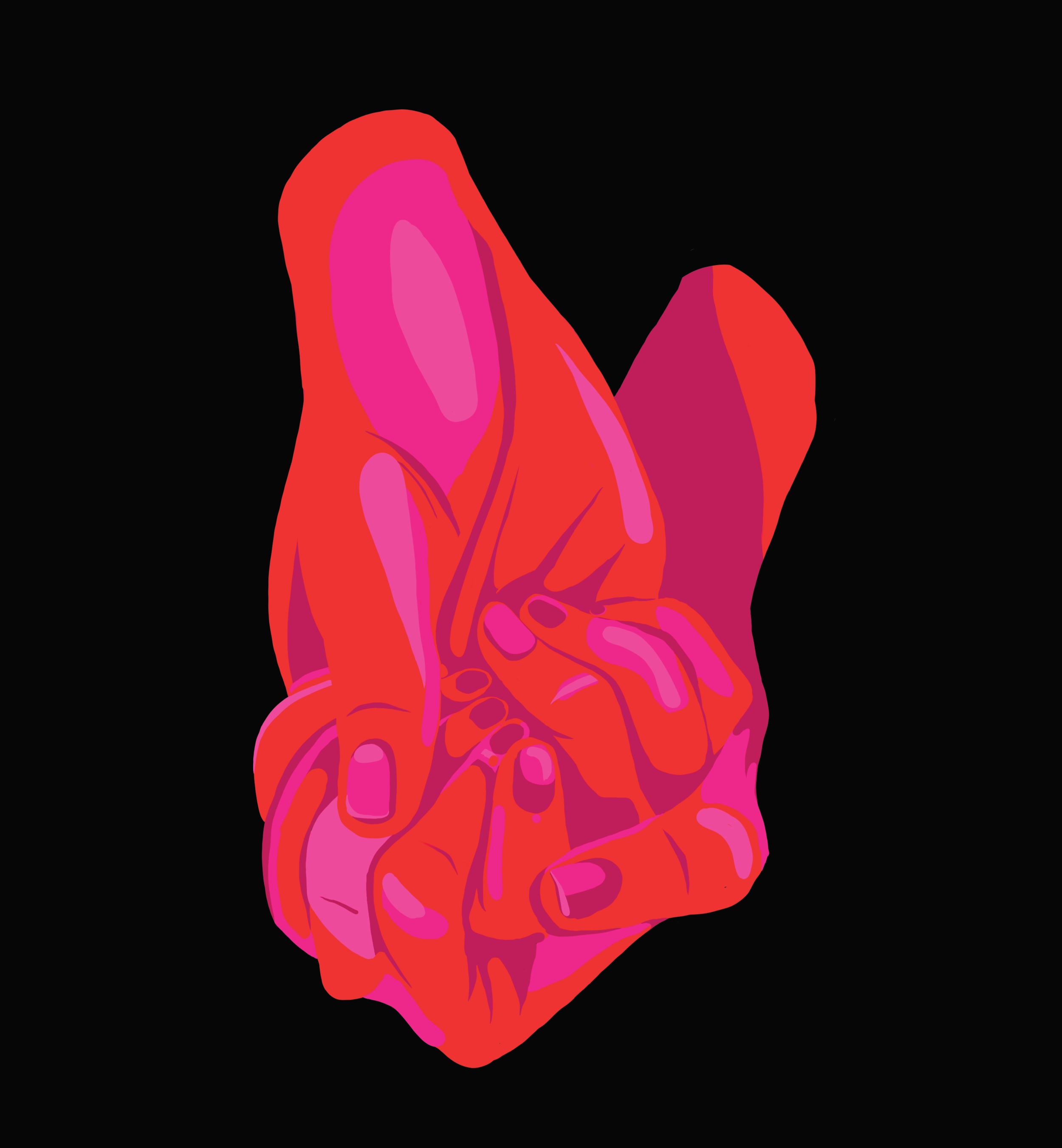 title image 1.png
