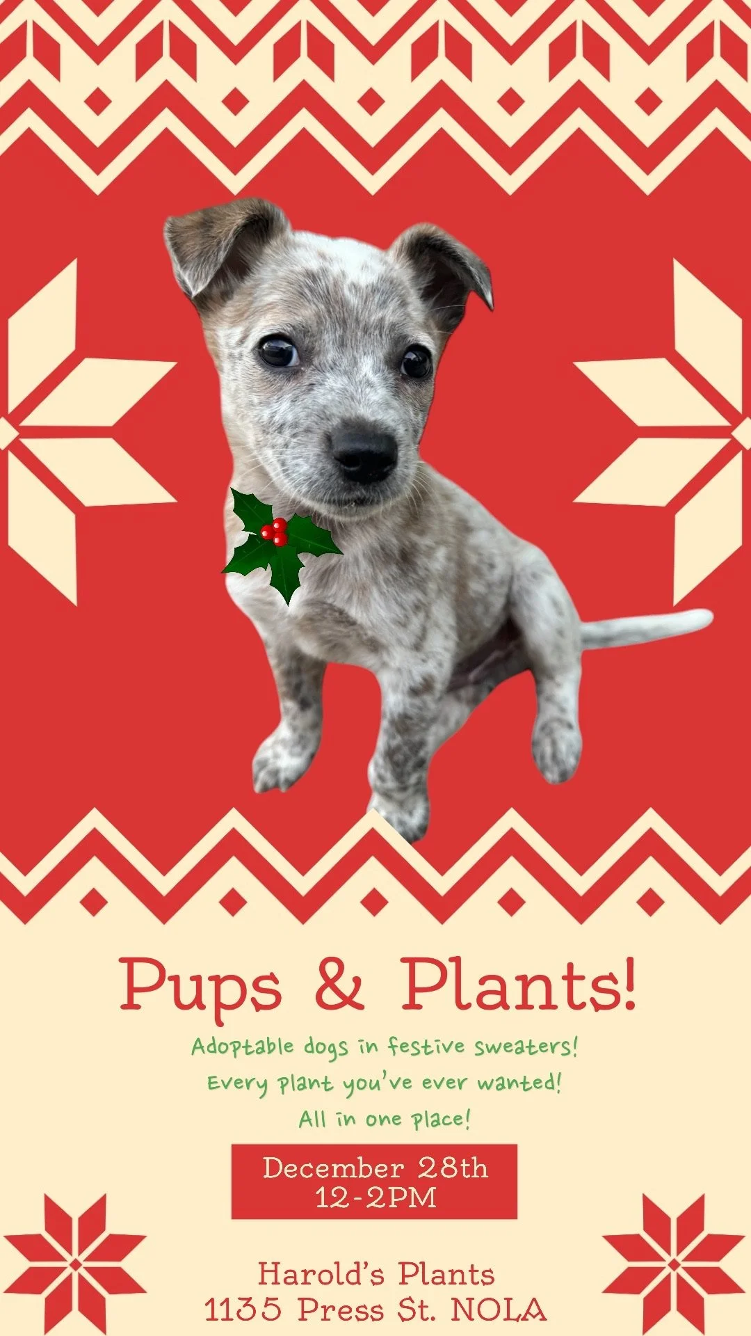 Pups &amp; Plants Adoption Event @ Harold's