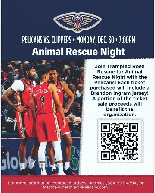 Animal Rescue Night with The Pelicans!