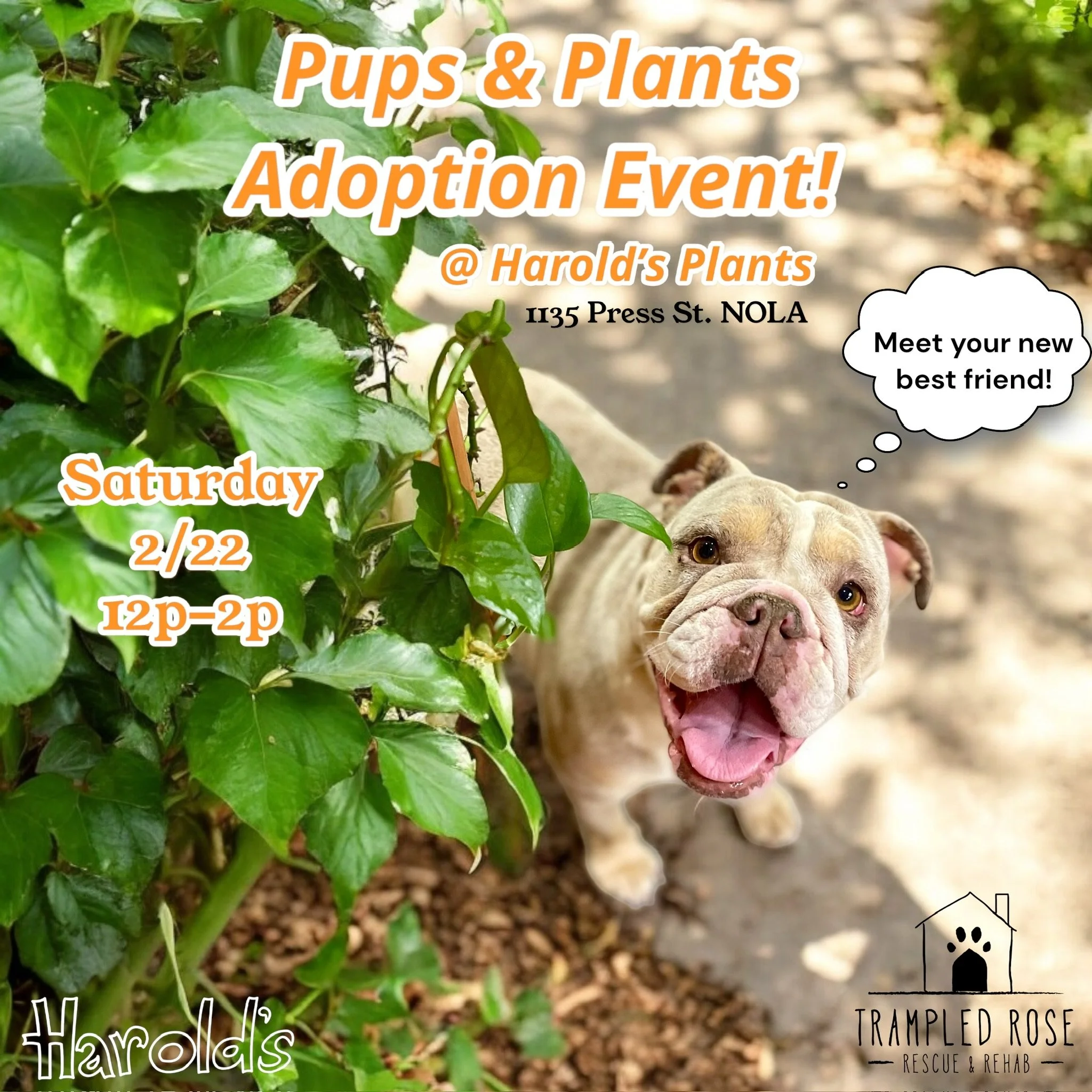 Pups &amp; Plants Event!