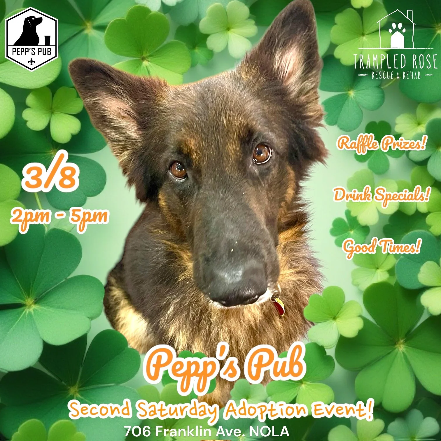 Pepp's Pub Second Saturday Adoption Event!