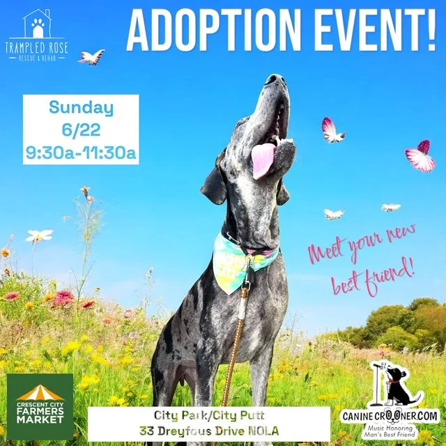 Adoption Event featuring The Canine Crooner @ Crescent City Farmer's Market!