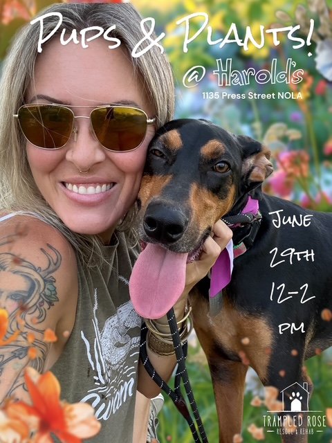 Pups &amp; Plants: an Adoption Event at Harold's!