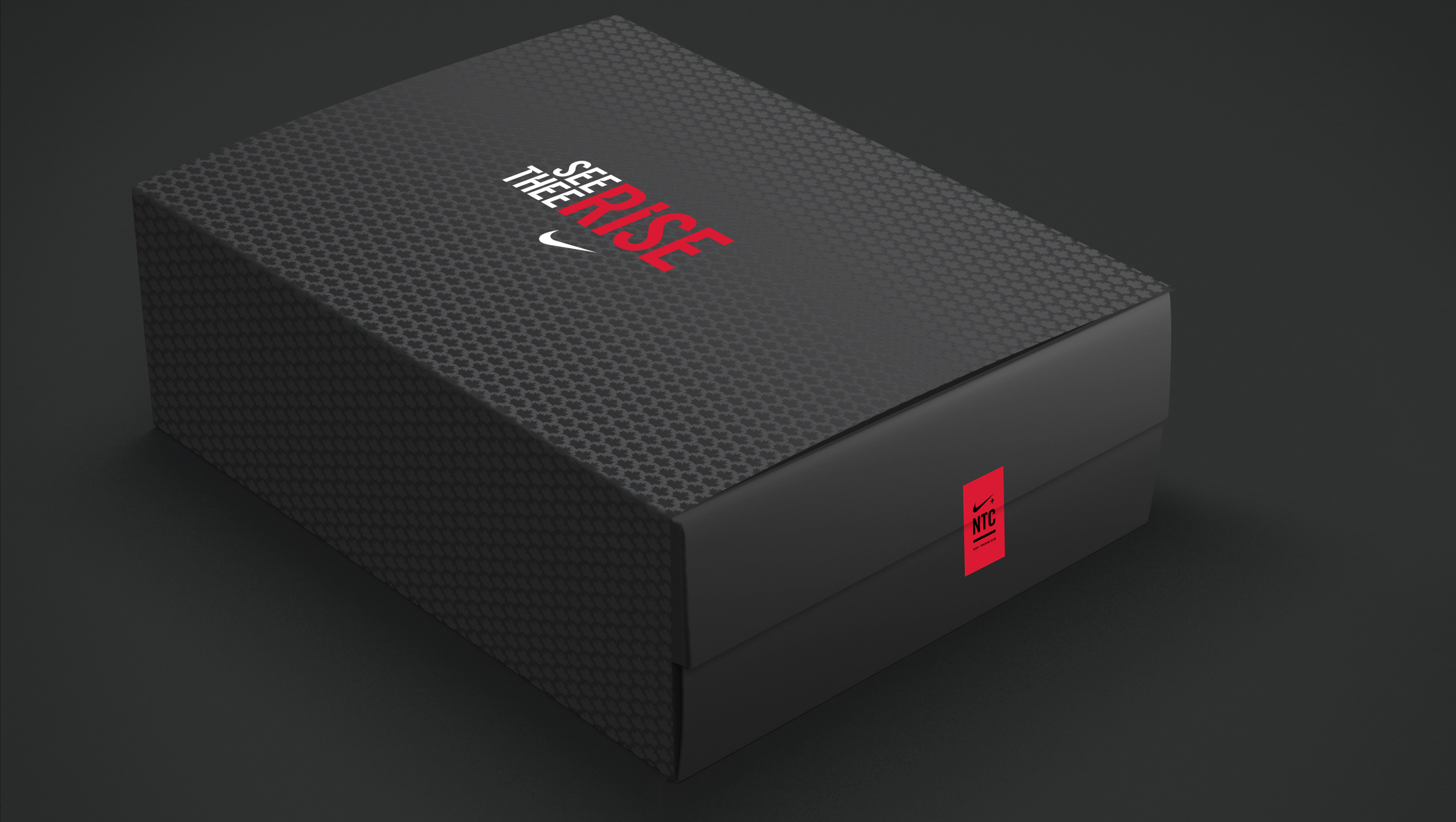 SeeTheeRise-Box.jpg