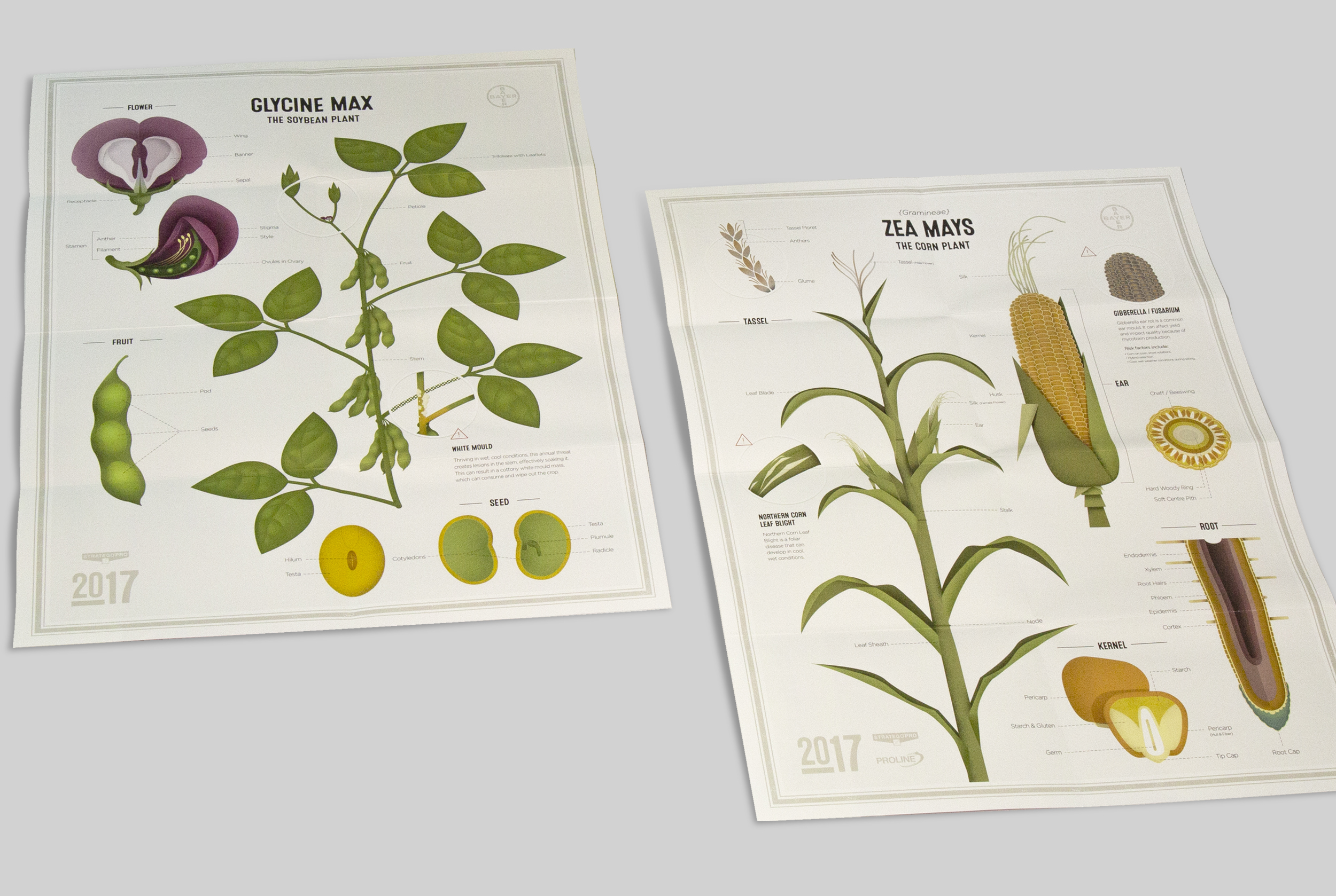 Soybean-Corn-Posters.jpg